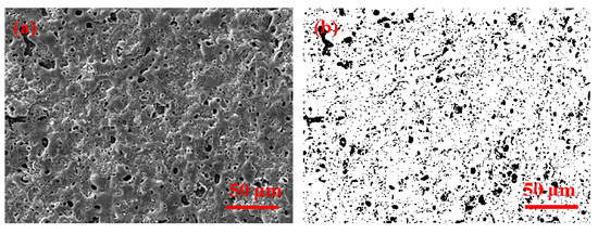 【7インチ】P-SOL- No Category When I See You DSC_1080.jpg