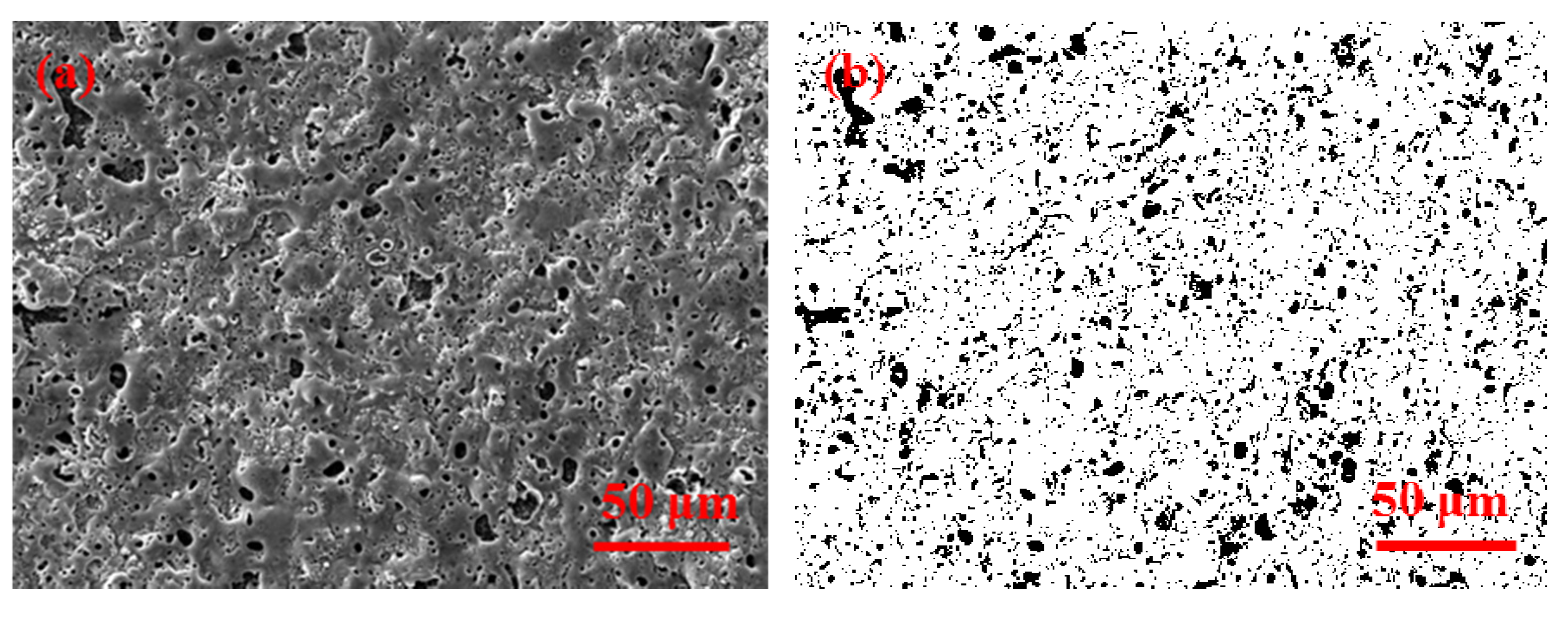 Coatings 10 00615 g001 Coatings 10 00615 g001