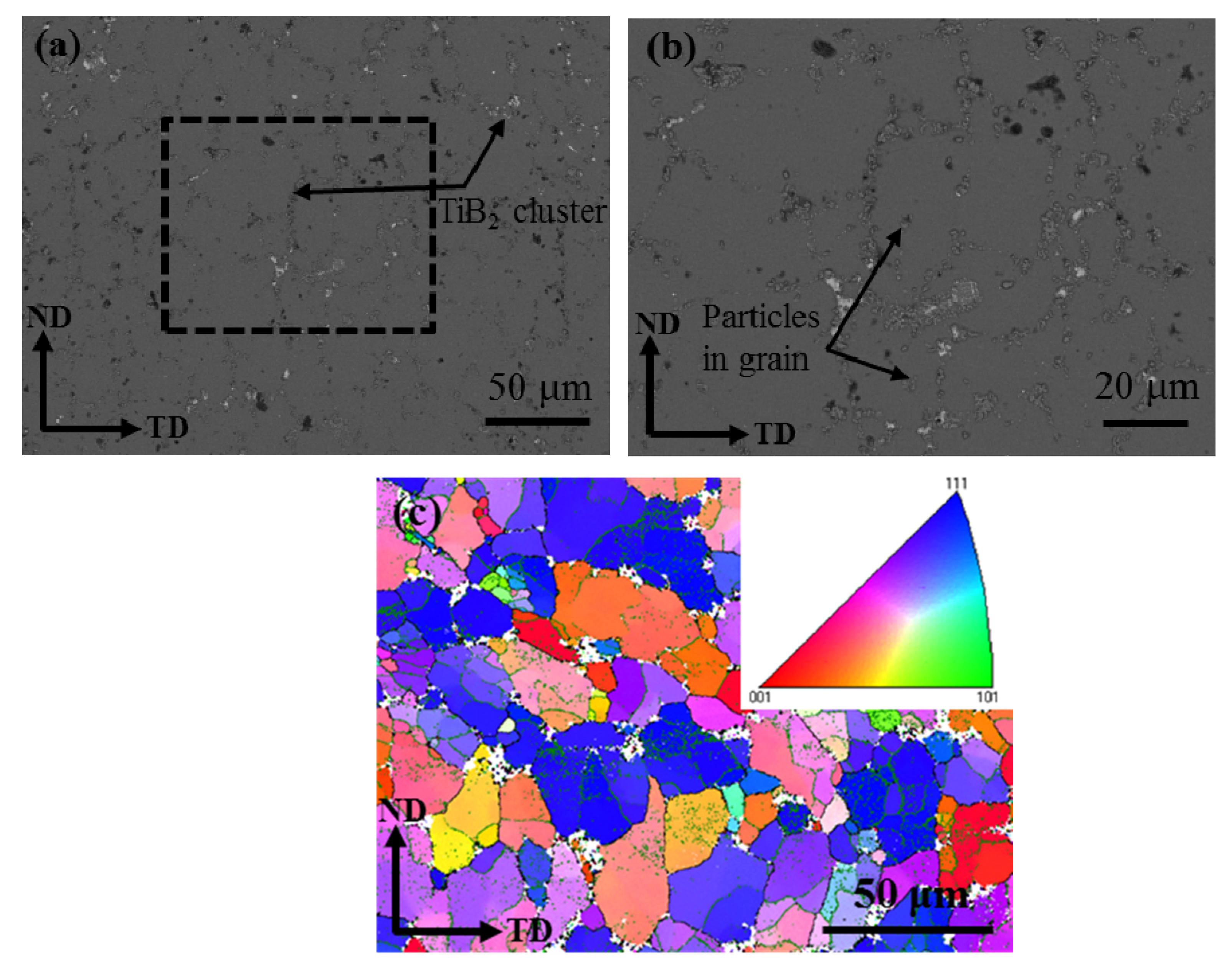 Coatings 10 00615 g002 Coatings 10 00615 g002