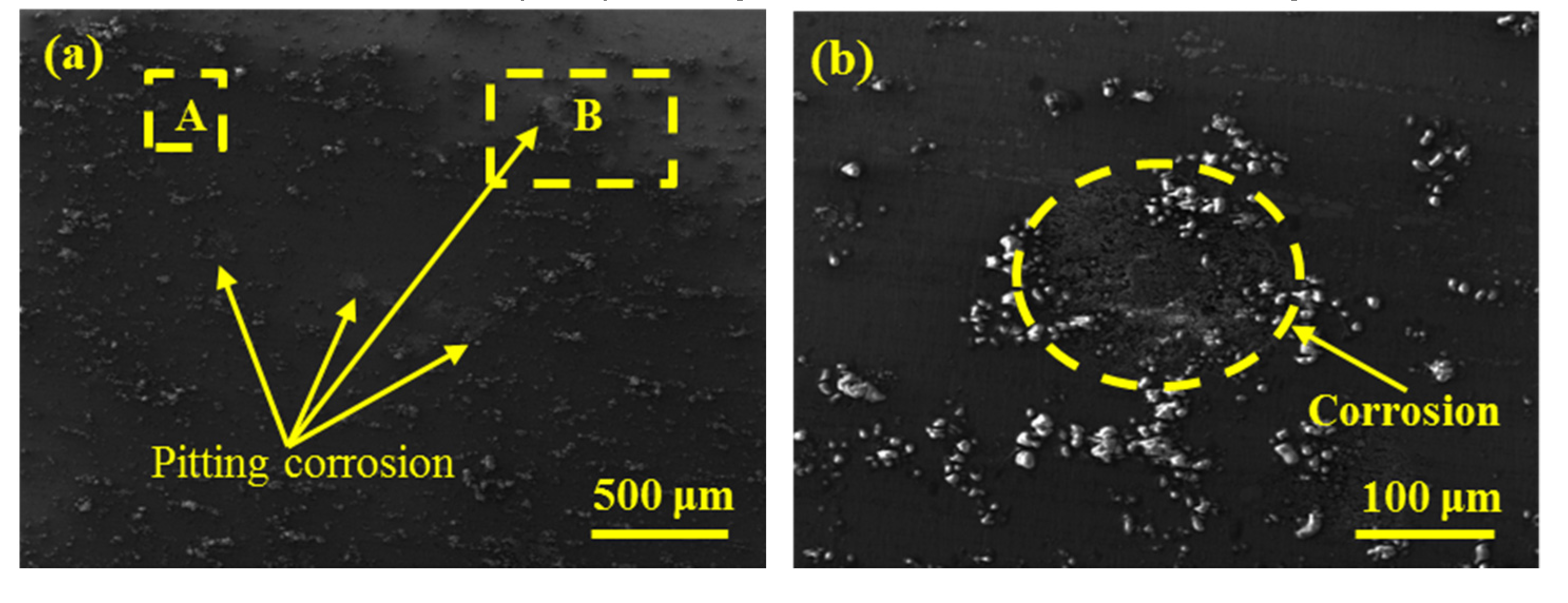Coatings 10 00615 g011a Coatings 10 00615 g011a