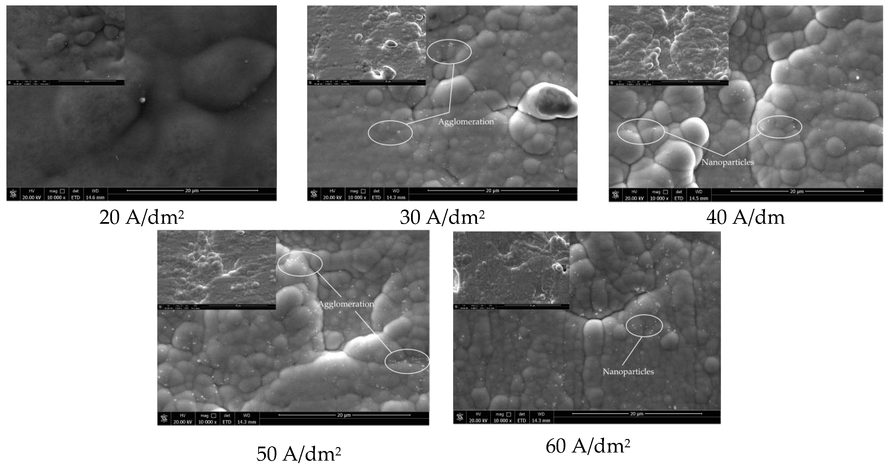 Coatings 10 00616 g002 Coatings 10 00616 g002