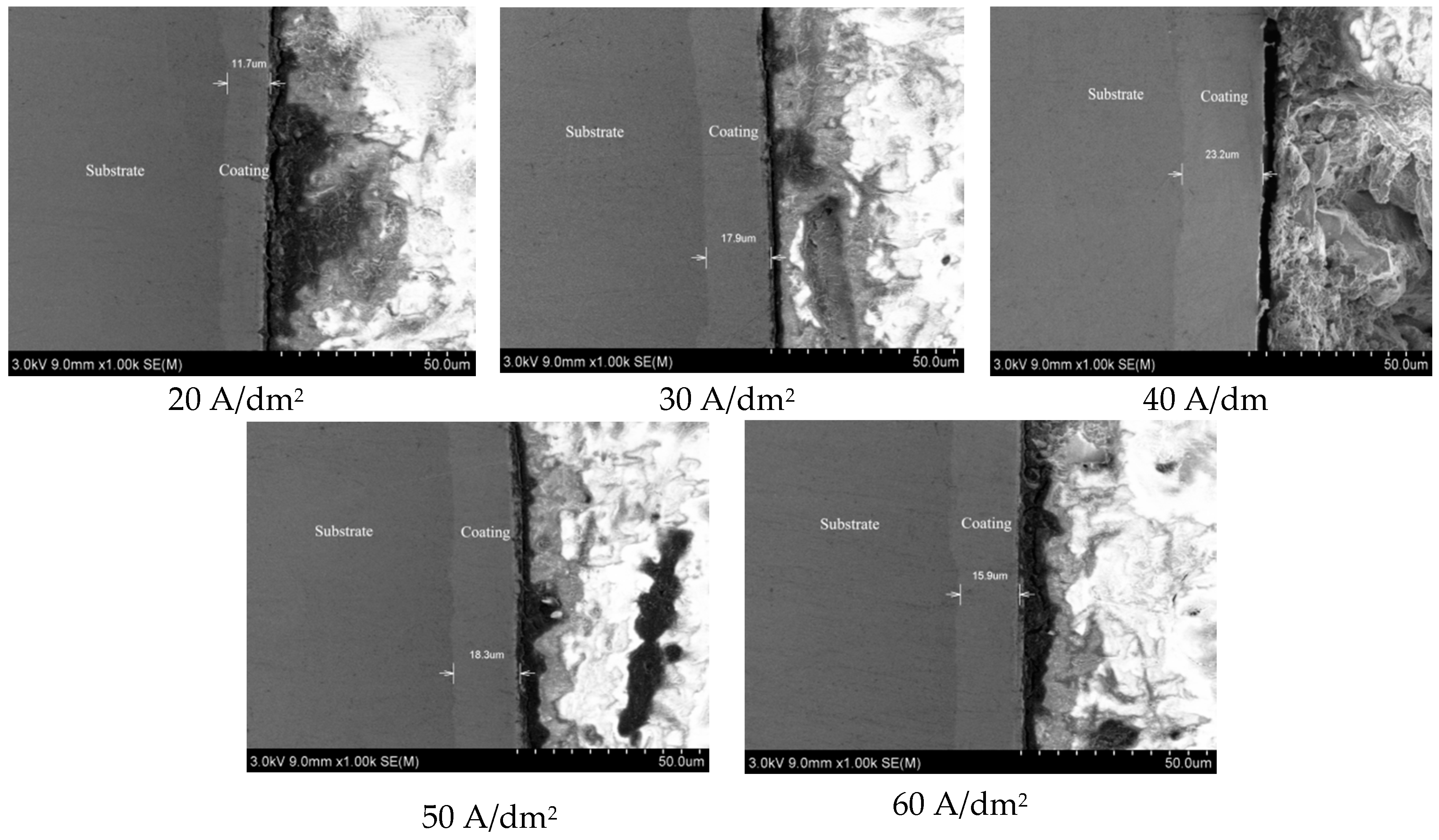 Coatings 10 00616 g003 Coatings 10 00616 g003