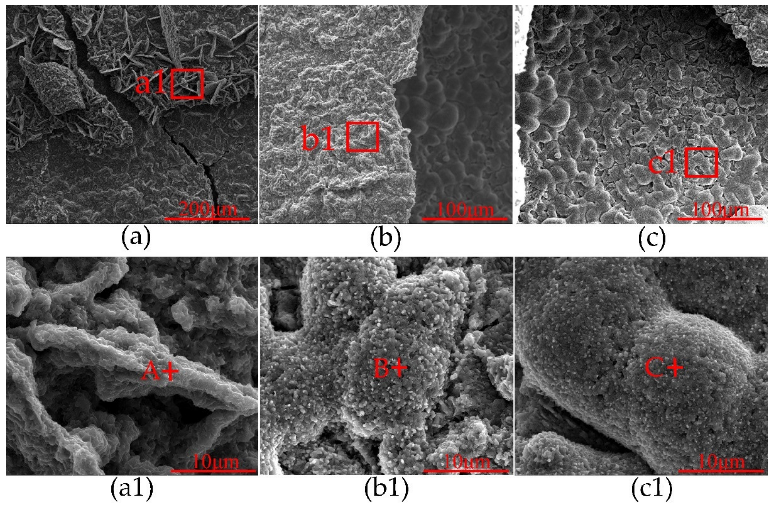 Coatings 10 00617 g005 550
