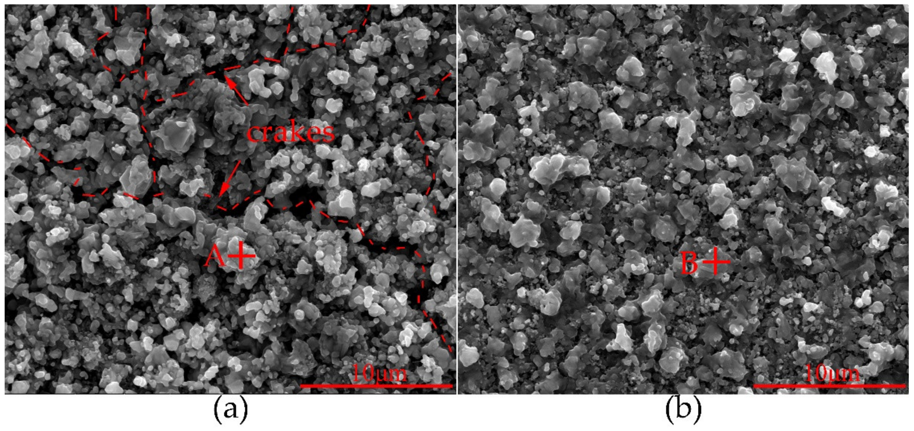 Coatings 10 00617 g006 550
