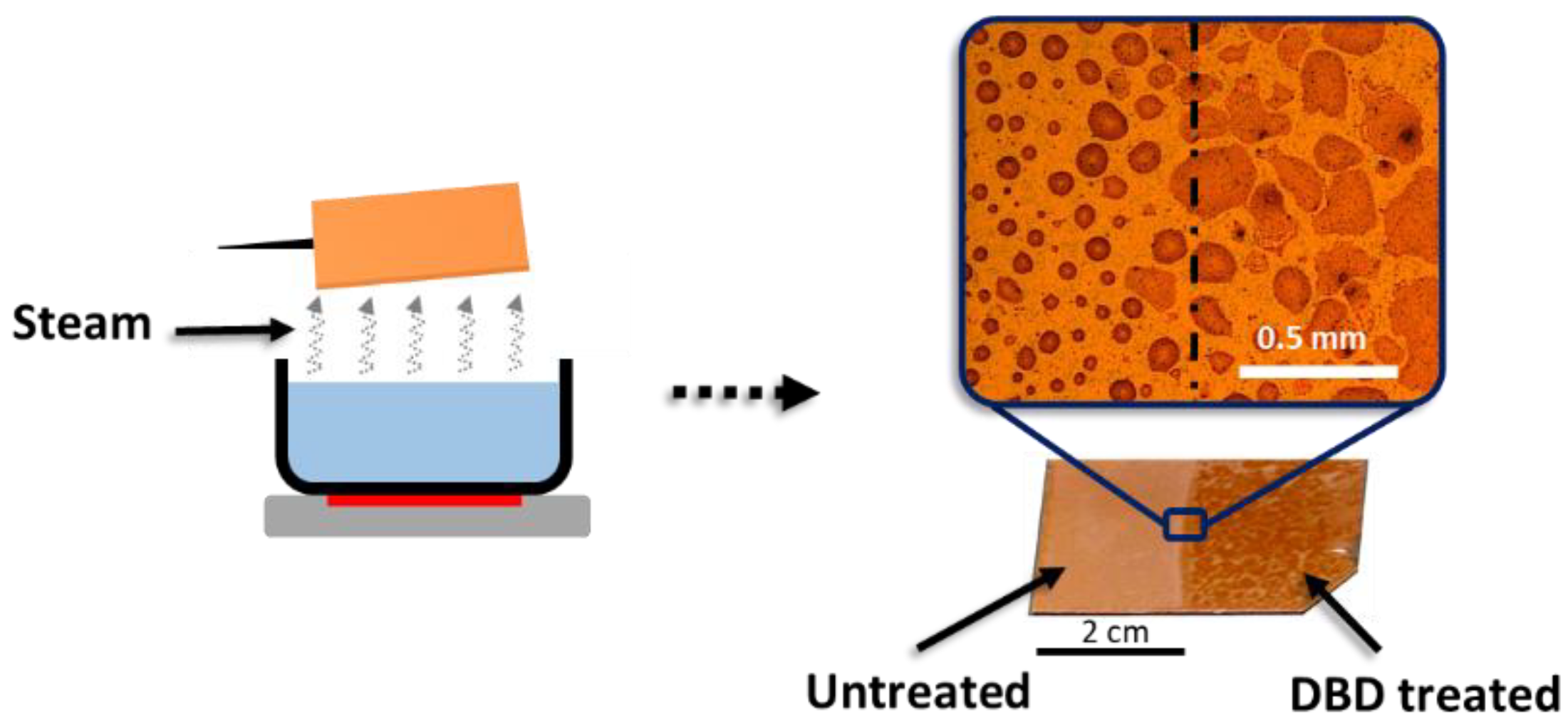 Coatings 10 00619 g008 Coatings 10 00619 g008