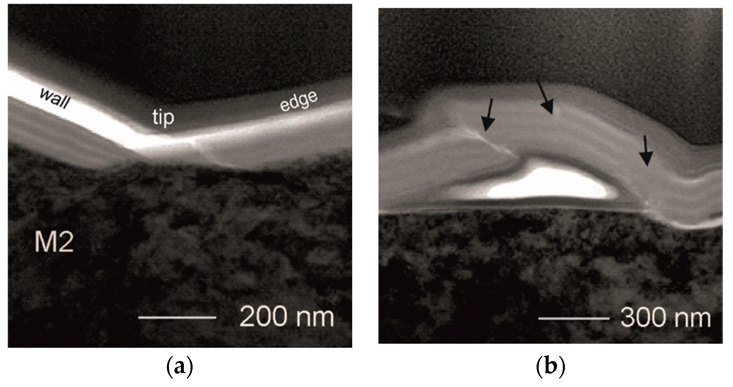 Coatings 10 00621 g005 Coatings 10 00621 g005