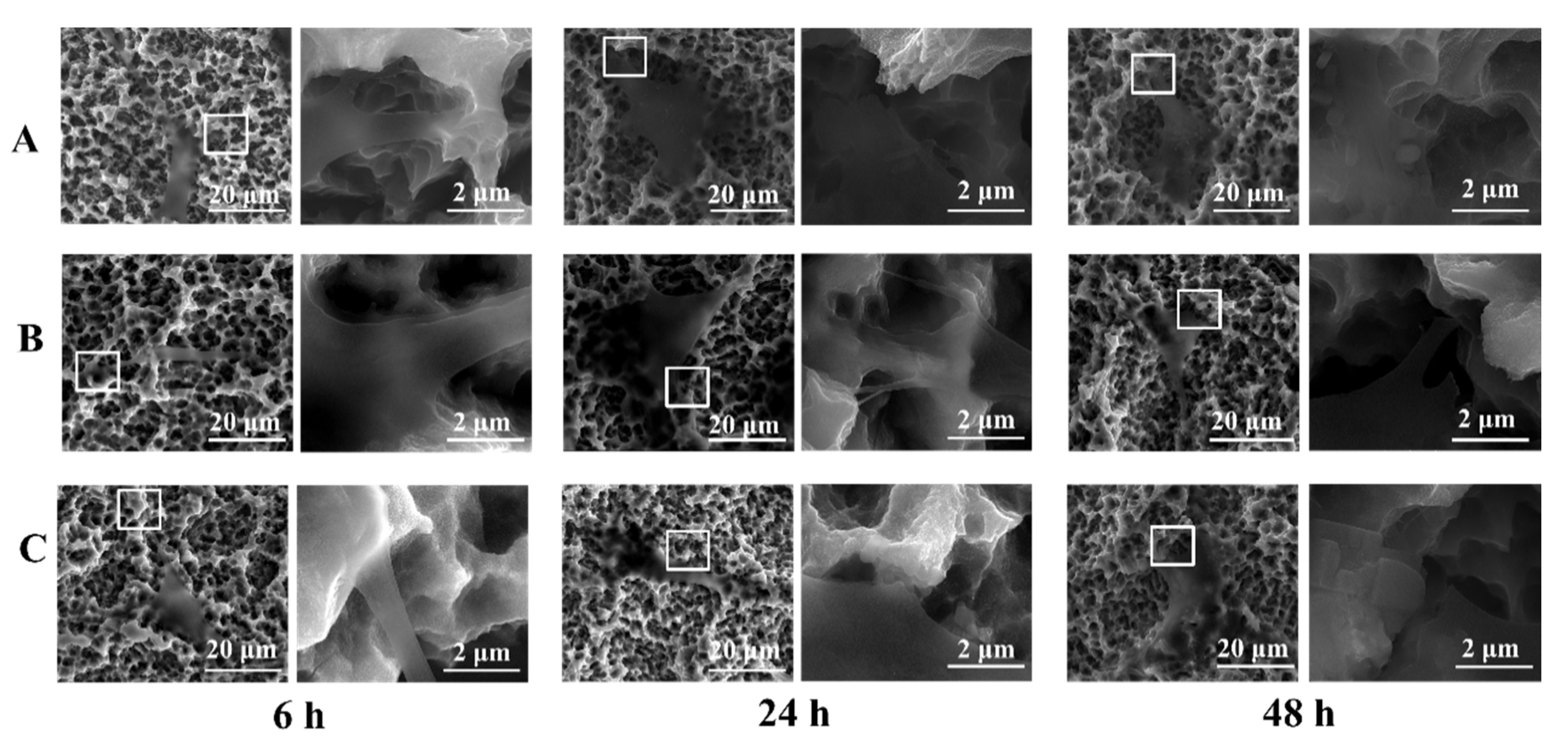 Coatings 10 00622 g005 Coatings 10 00622 g005