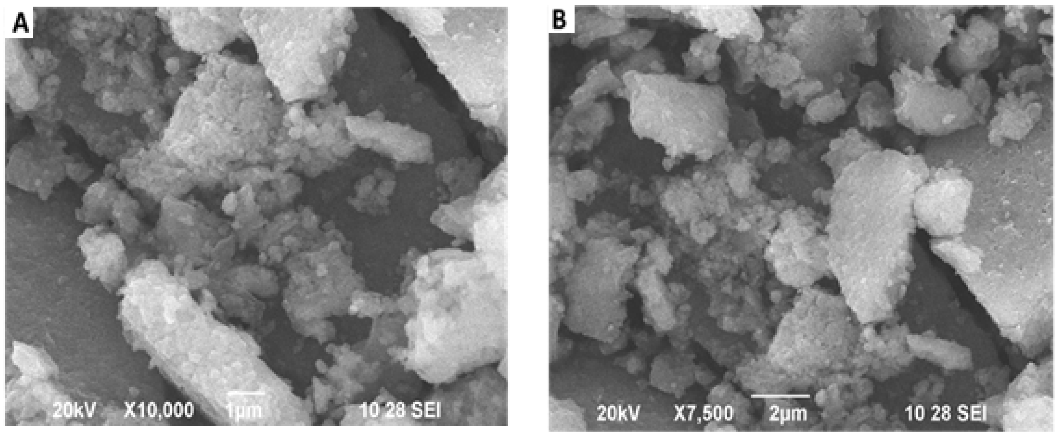 Coatings 10 00626 g002 Coatings 10 00626 g002