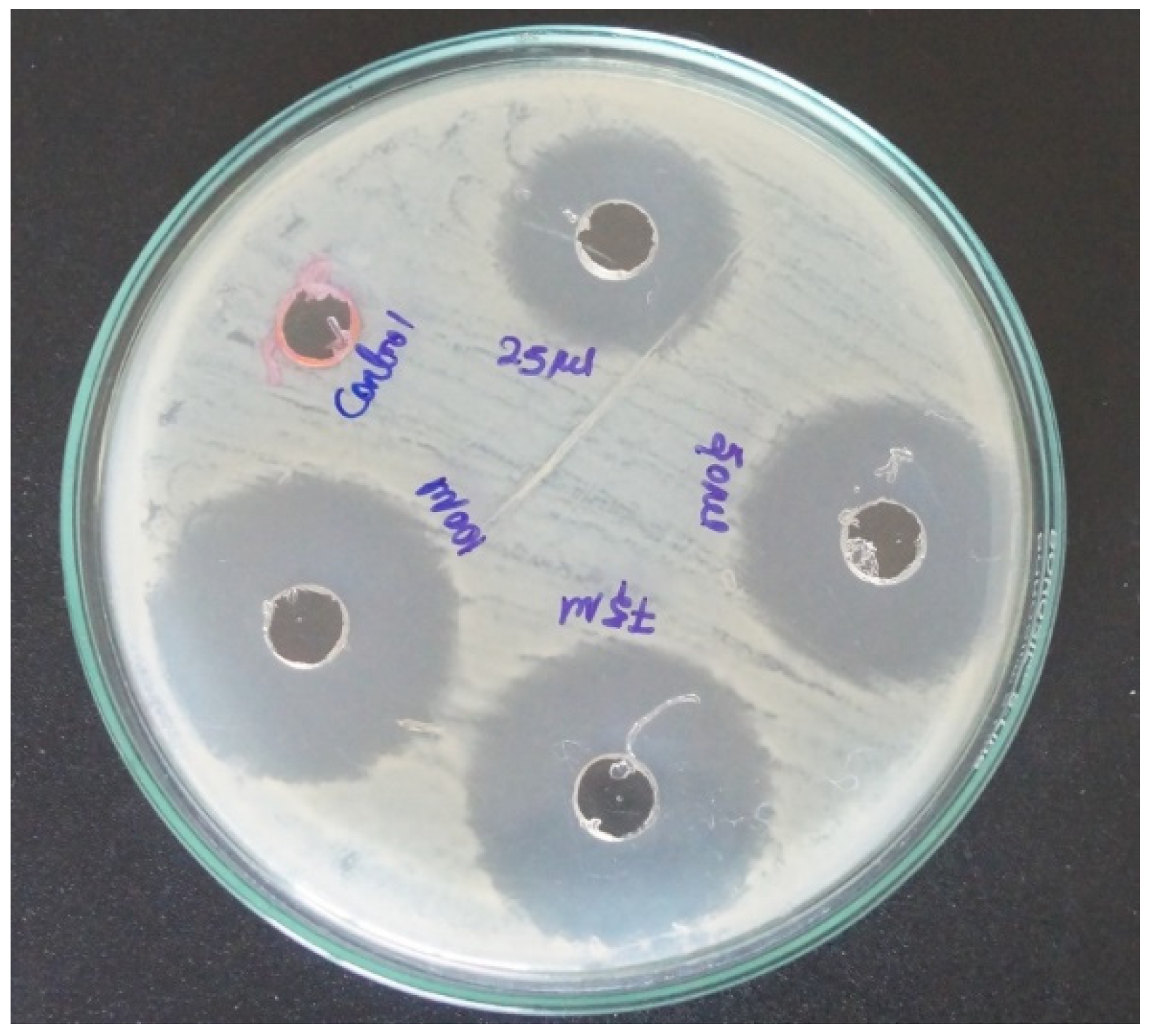 Coatings 10 00626 g004 Coatings 10 00626 g004