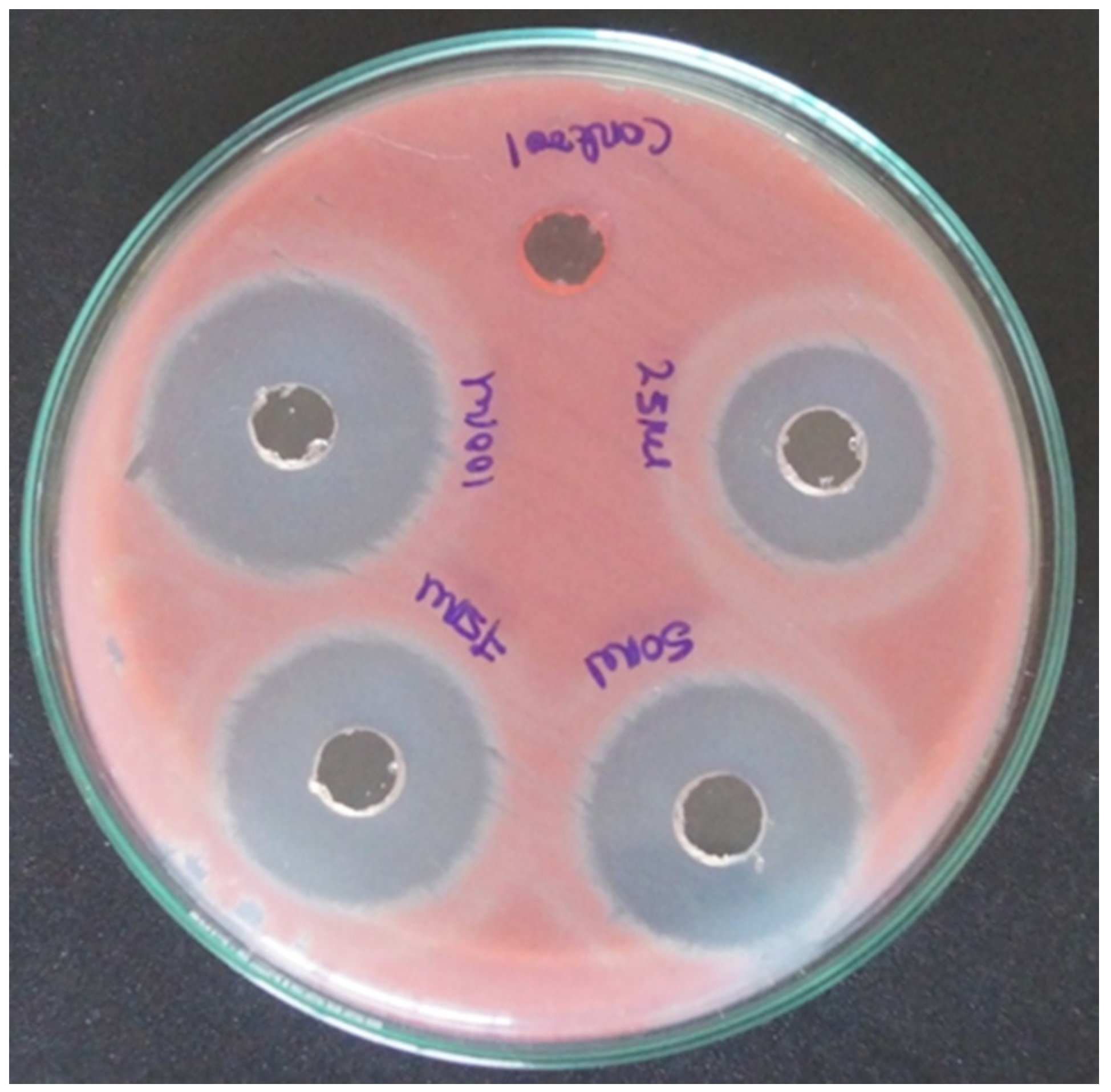 Coatings 10 00626 g005 Coatings 10 00626 g005