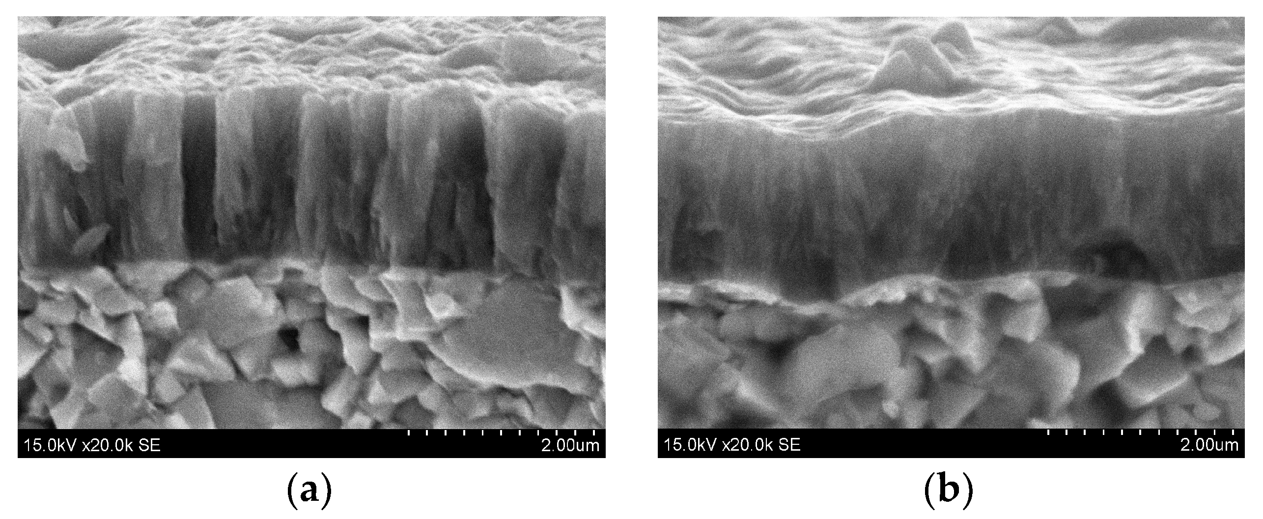 Coatings 10 00632 g003 Coatings 10 00632 g003