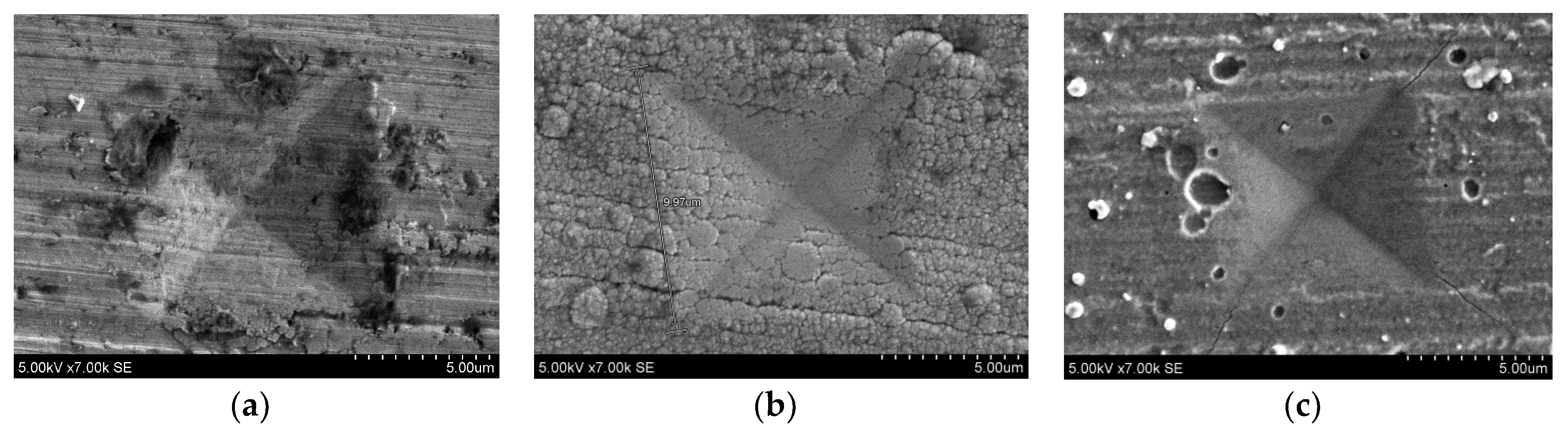 Coatings 10 00632 g005 Coatings 10 00632 g005