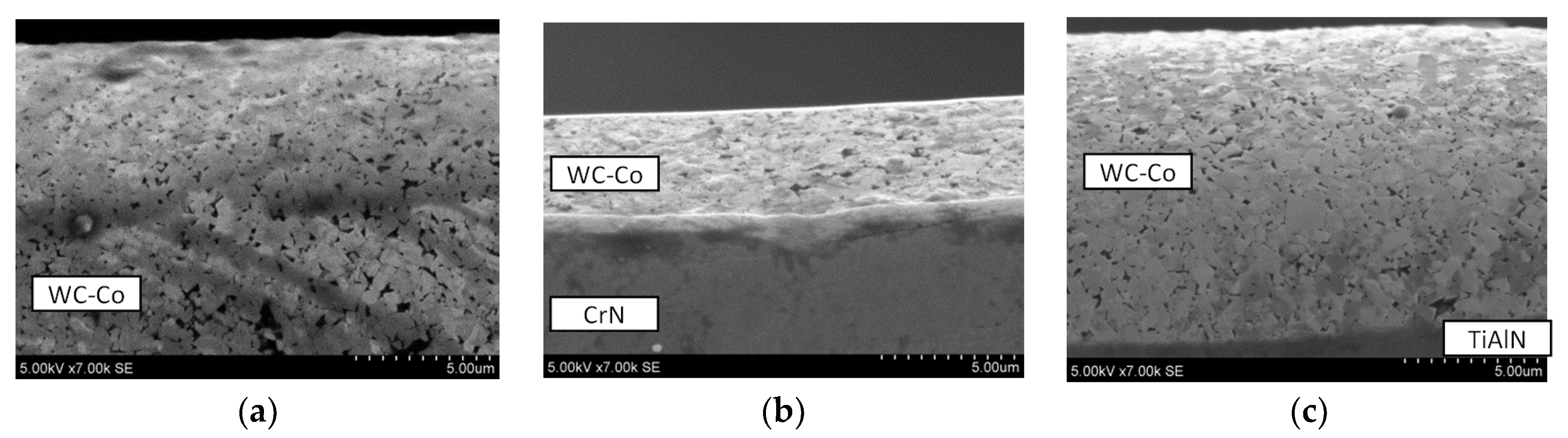 Coatings 10 00632 g011 Coatings 10 00632 g011