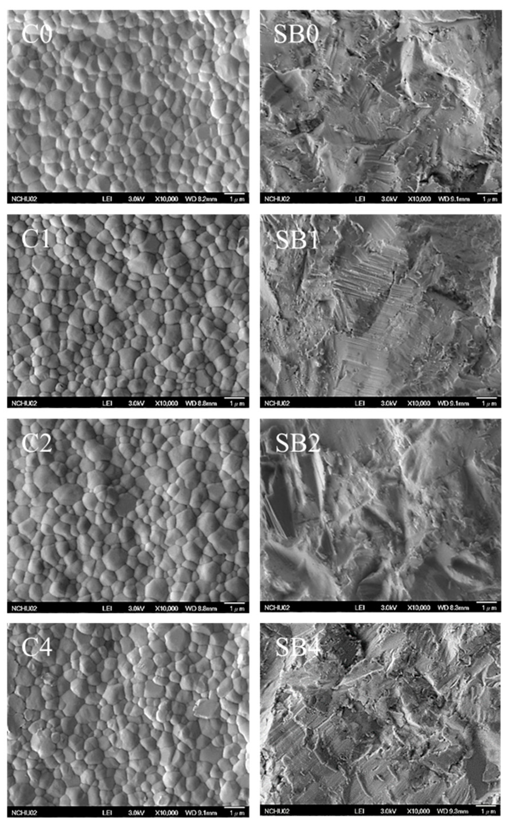 Coatings 10 00635 g001