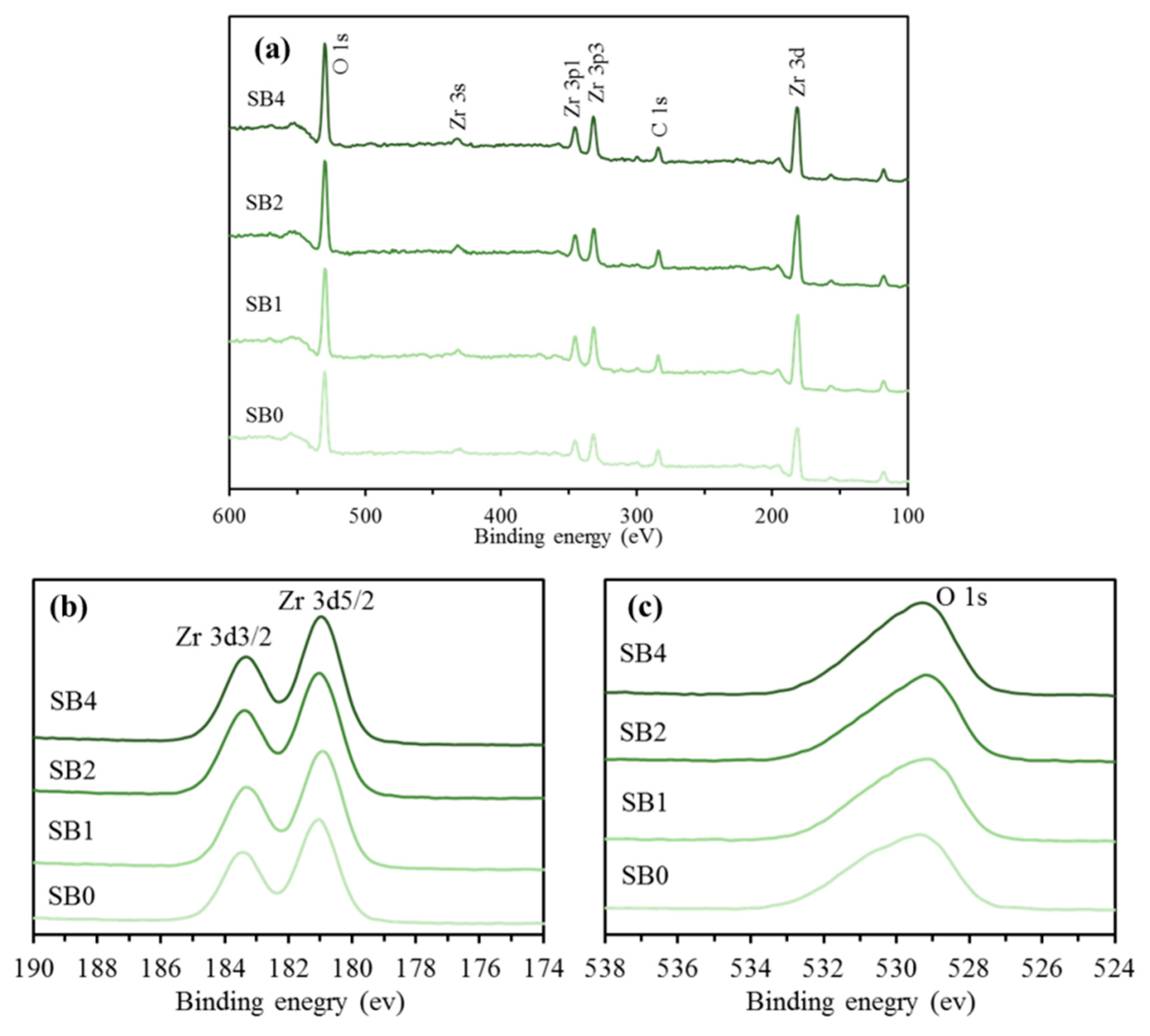 Coatings 10 00635 g003