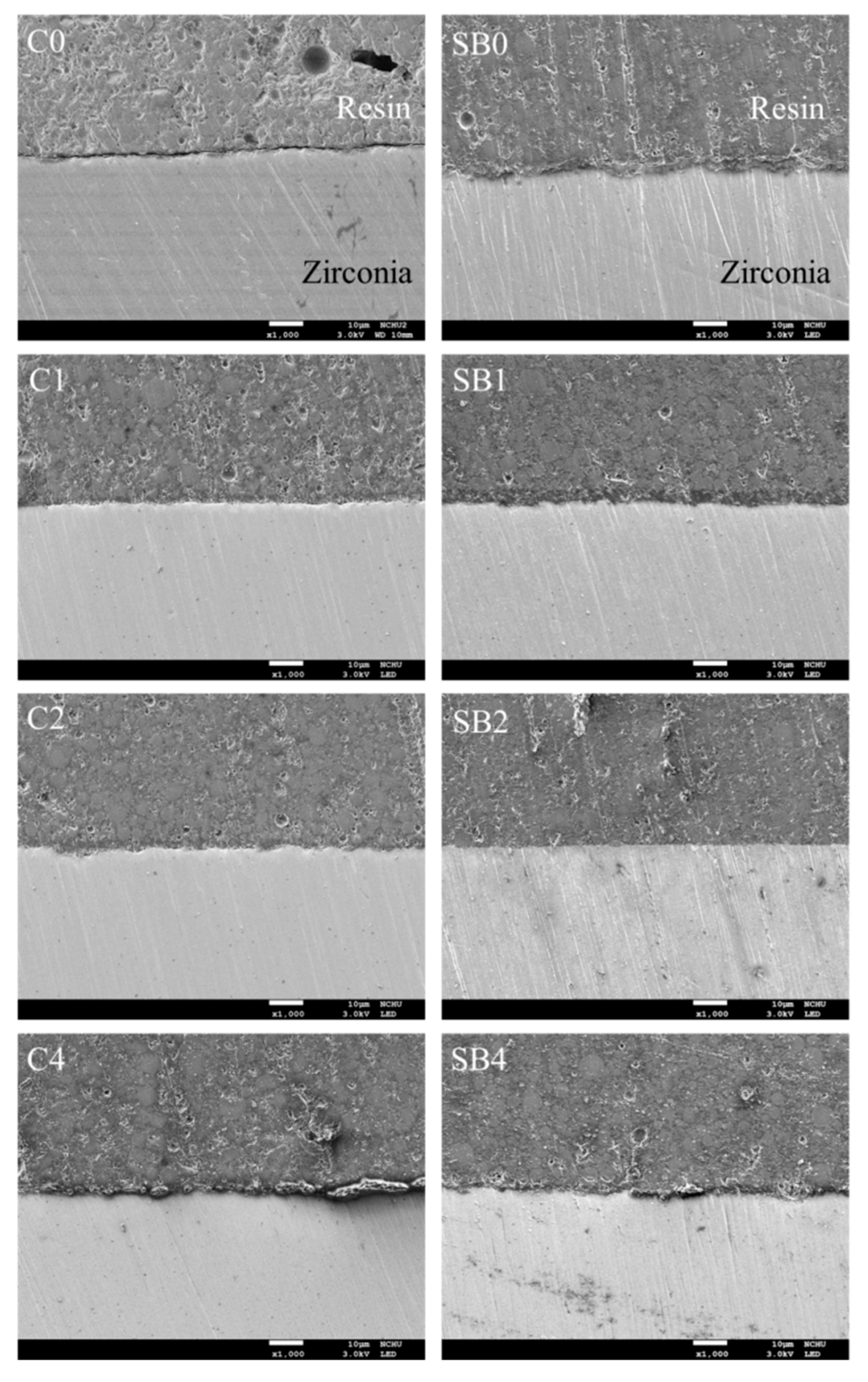 Coatings 10 00635 g006