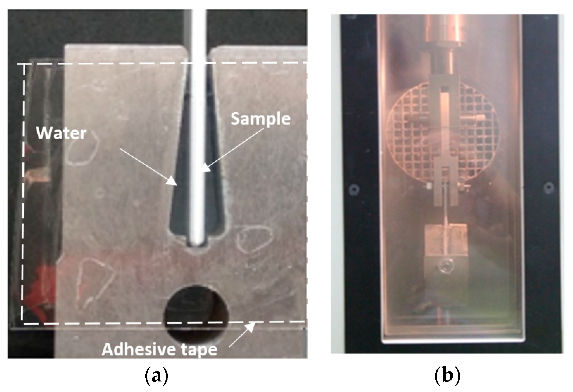Coatings 10 00636 g004 Coatings 10 00636 g004