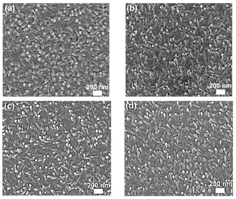 Coatings 10 00637 g002 Coatings 10 00637 g002