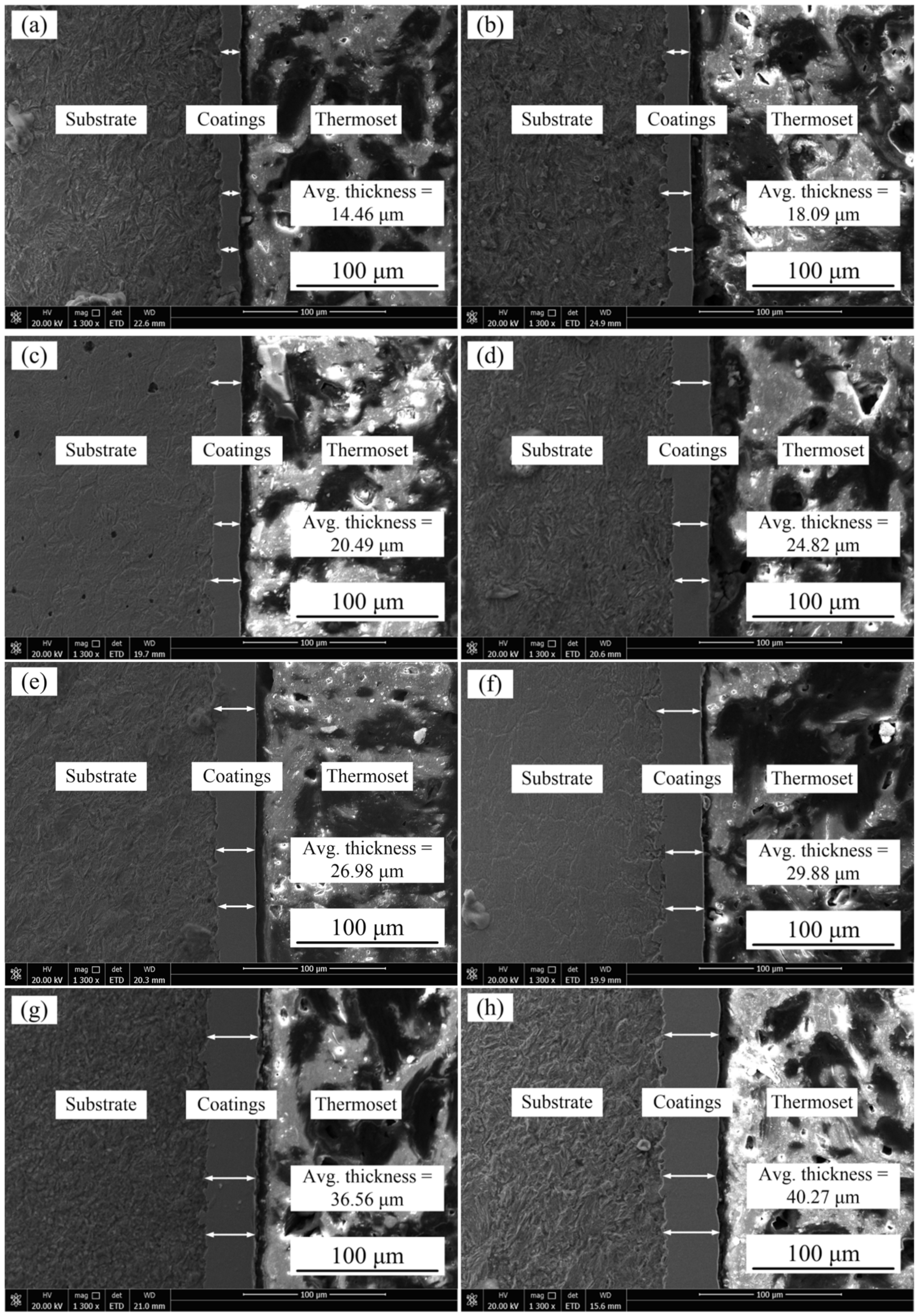 Coatings 10 00639 g003 Coatings 10 00639 g003