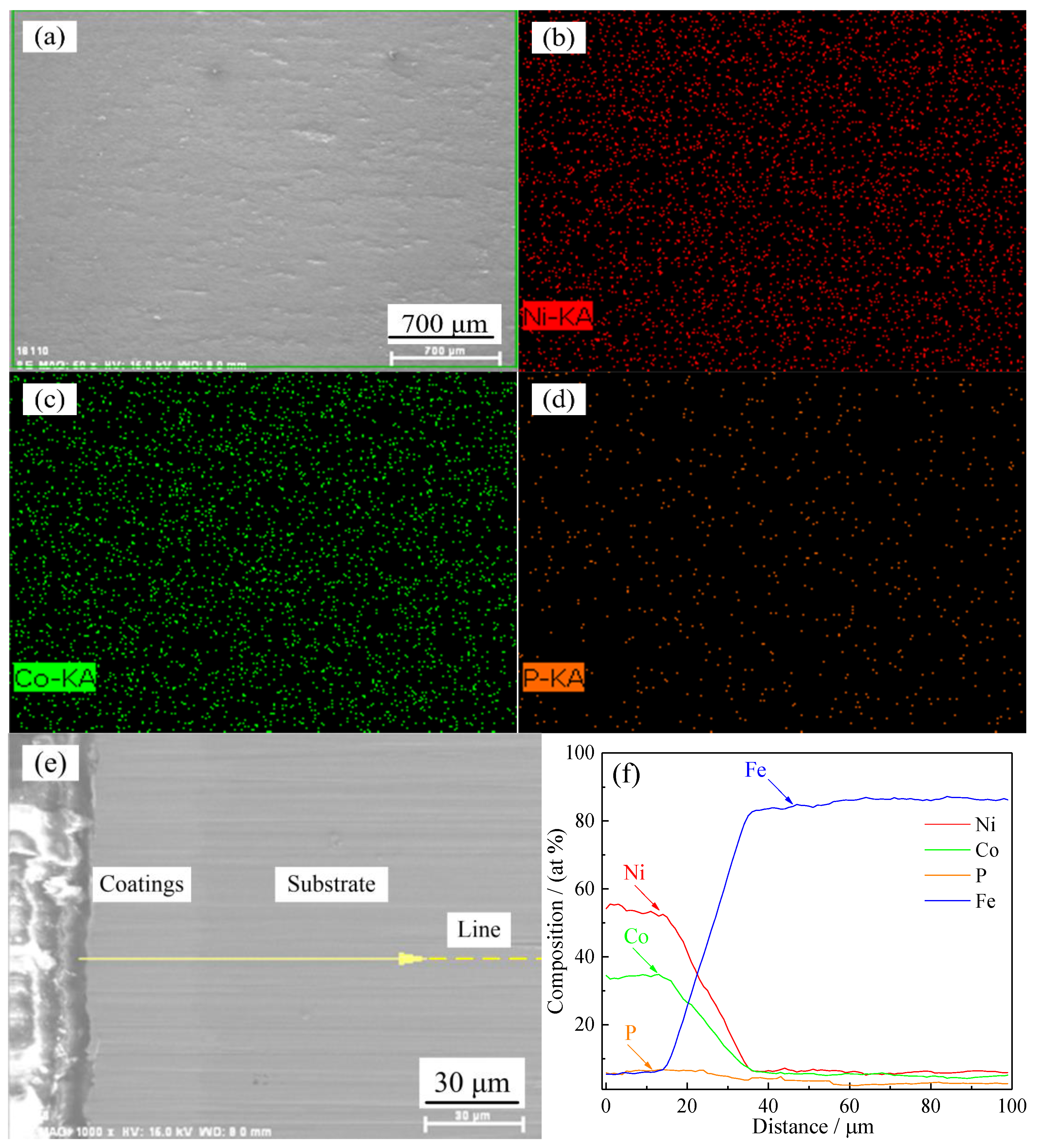Coatings 10 00639 g004 Coatings 10 00639 g004
