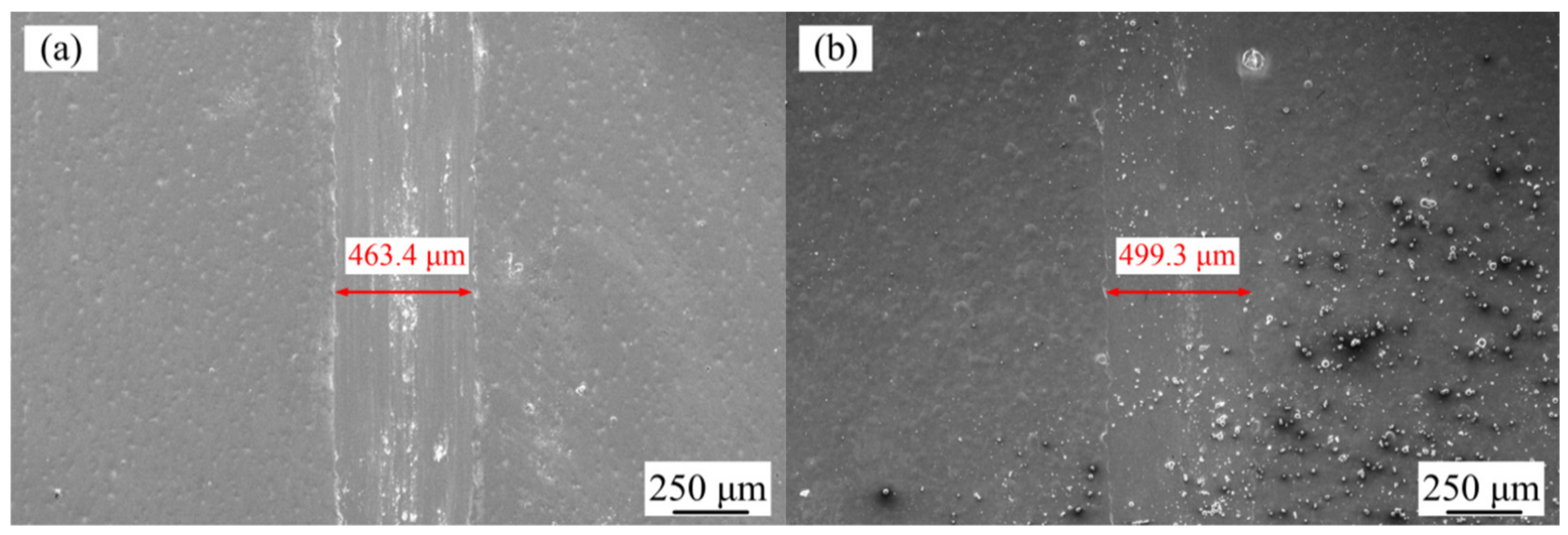 Coatings 10 00639 g009a Coatings 10 00639 g009a