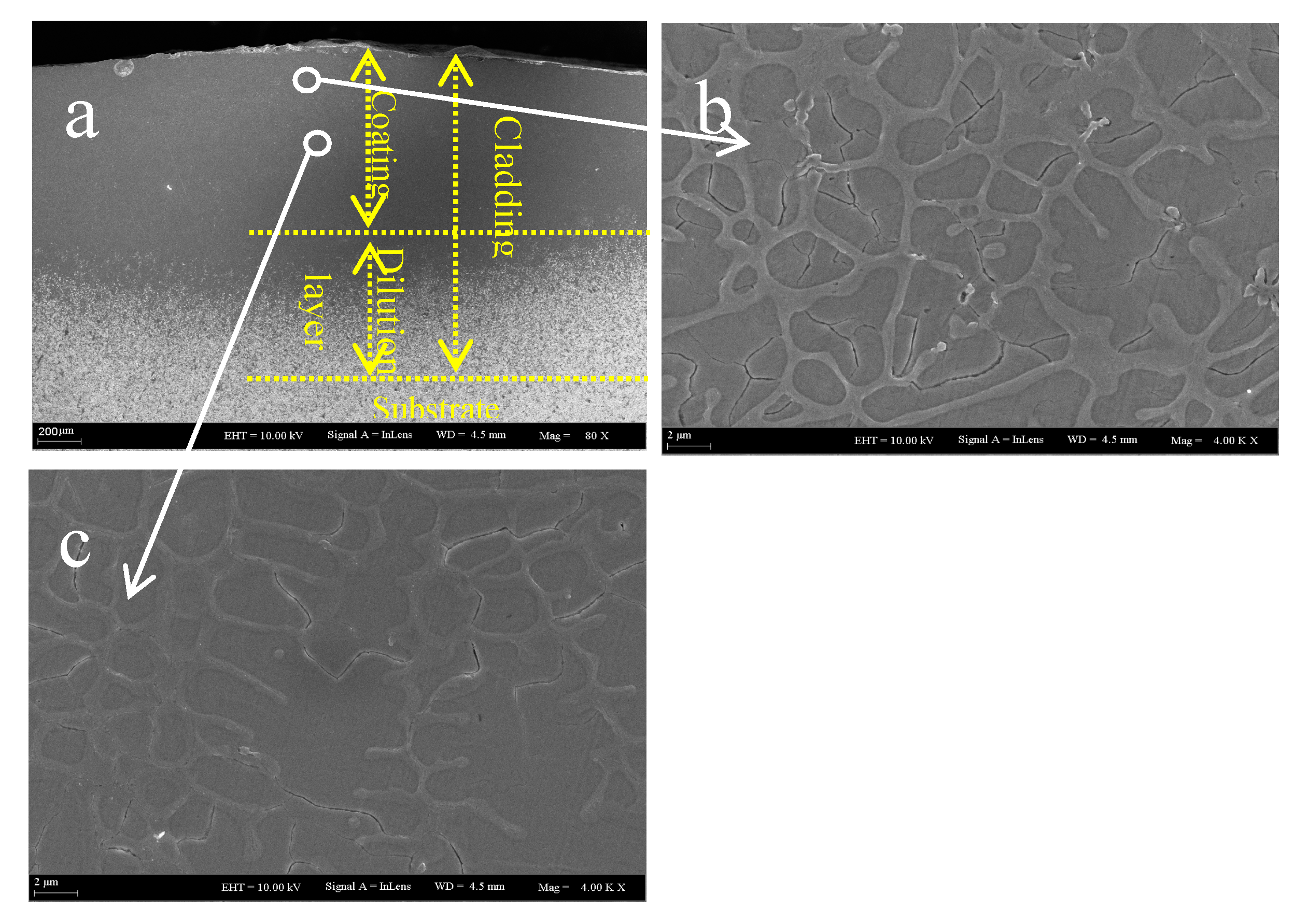 Coatings 10 00641 g005 Coatings 10 00641 g005