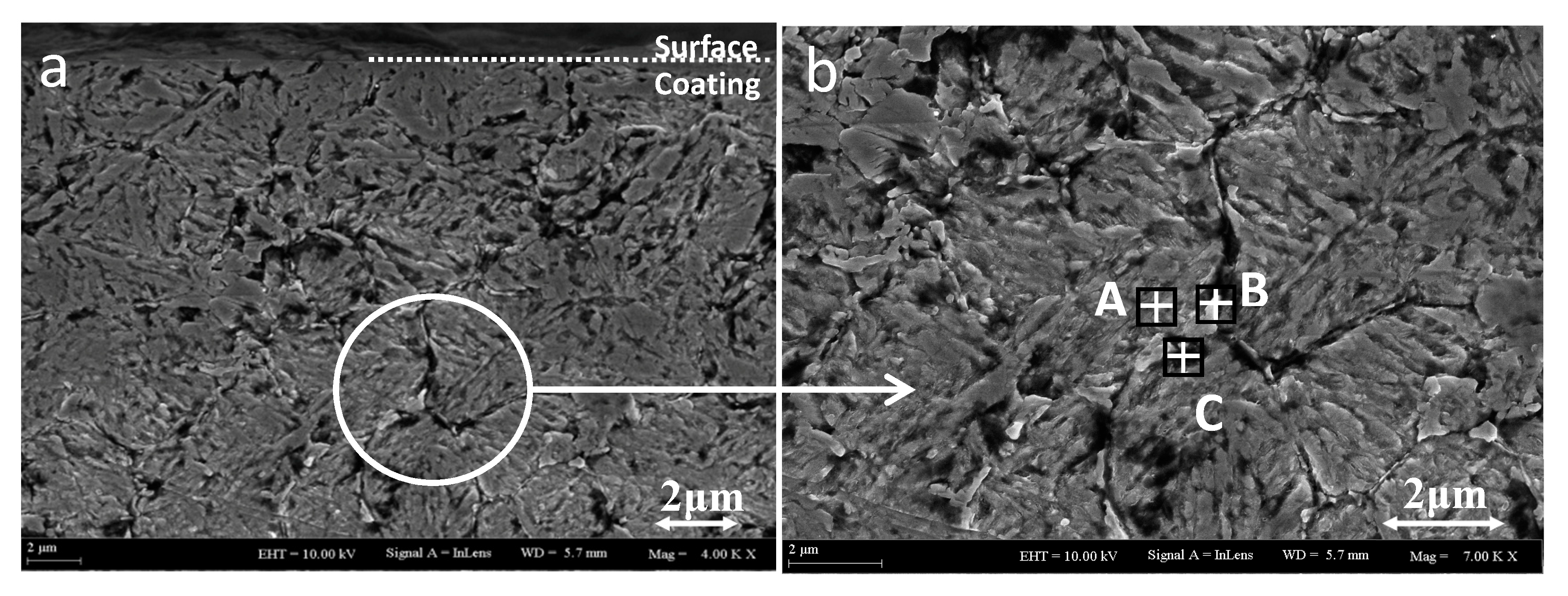 Coatings 10 00641 g008 Coatings 10 00641 g008