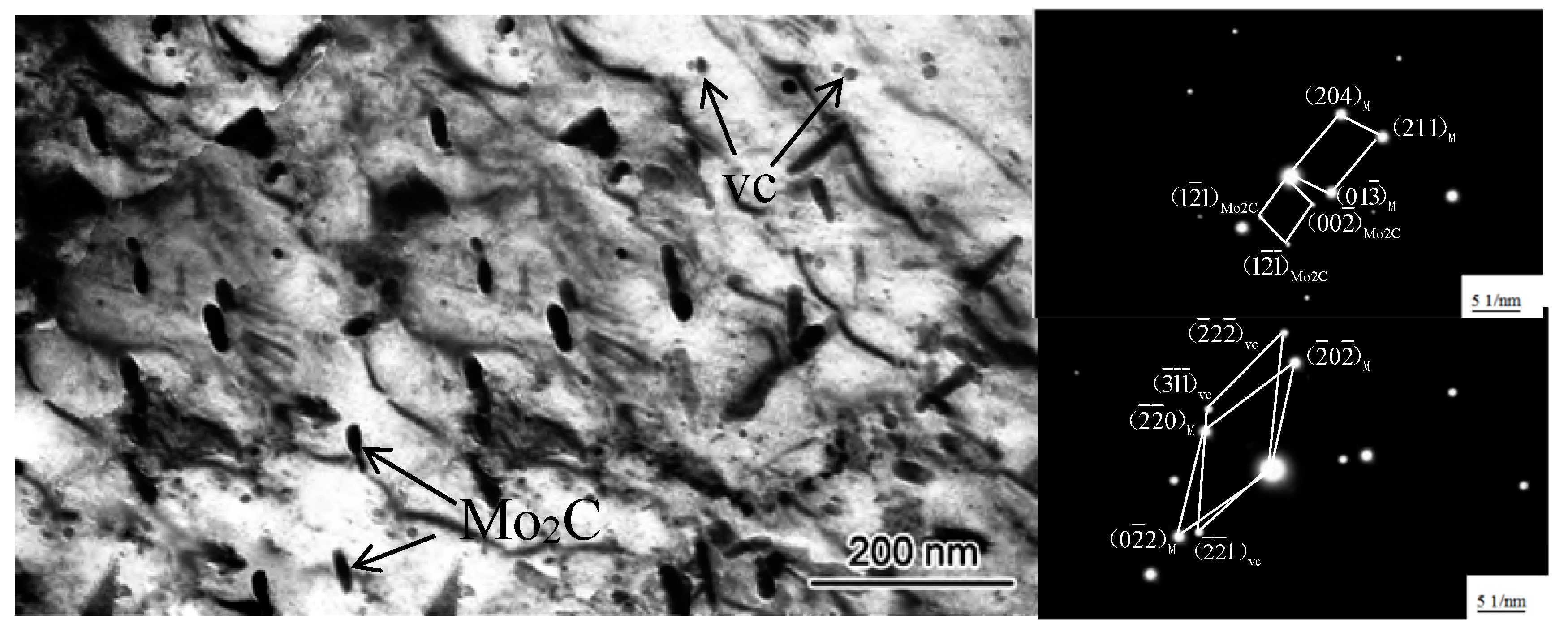 Coatings 10 00641 g010 Coatings 10 00641 g010