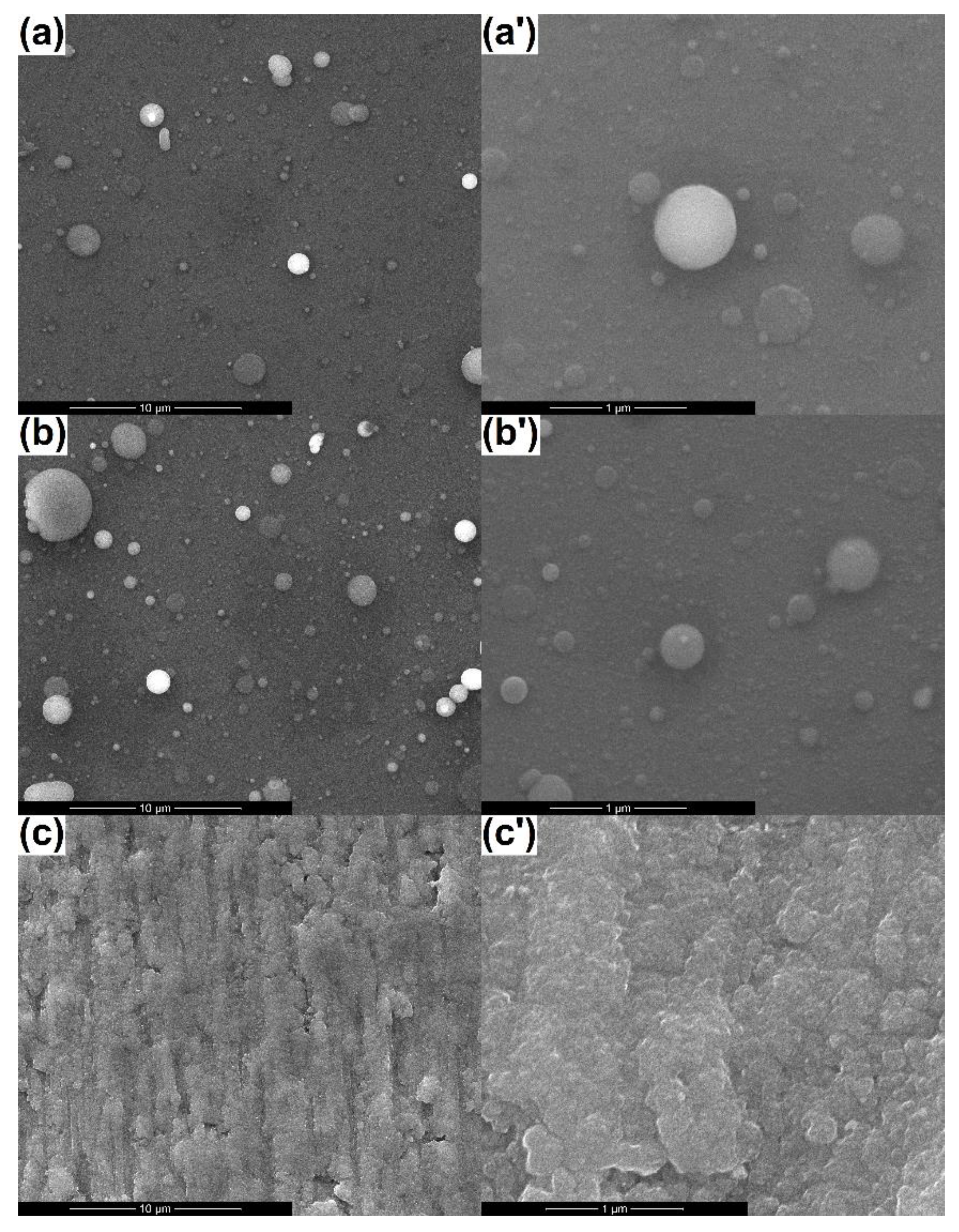 Coatings 10 00642 g002 Coatings 10 00642 g002