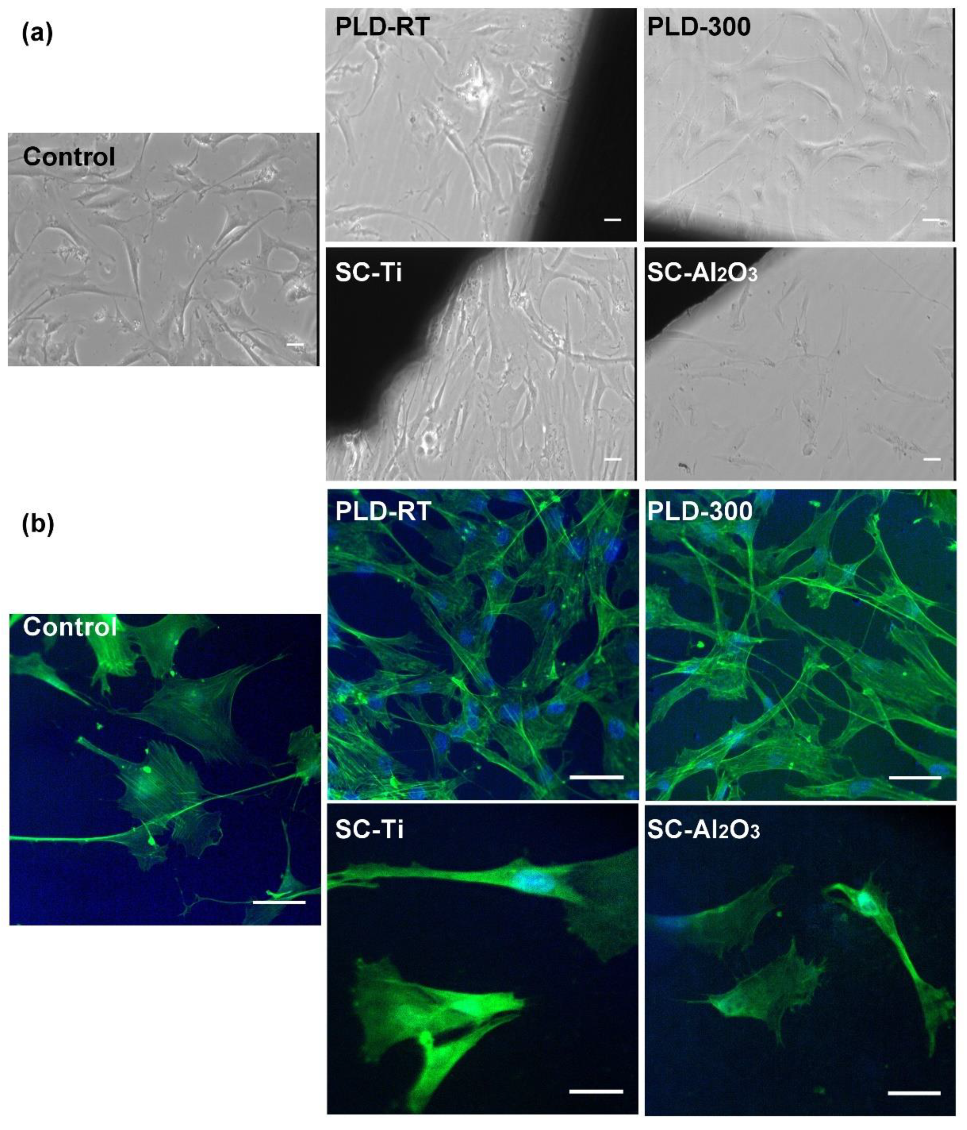 Coatings Free Full Text Ceo2 Containing Thin Films As Bioactive Coatings For Orthopaedic Implants Html Coatings Free Full Text Ceo2 Containing Thin Films As Bioactive Coatings For Orthopaedic Implants Html