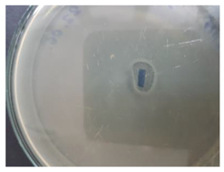 Coatings 10 00642 i002 Coatings 10 00642 i002