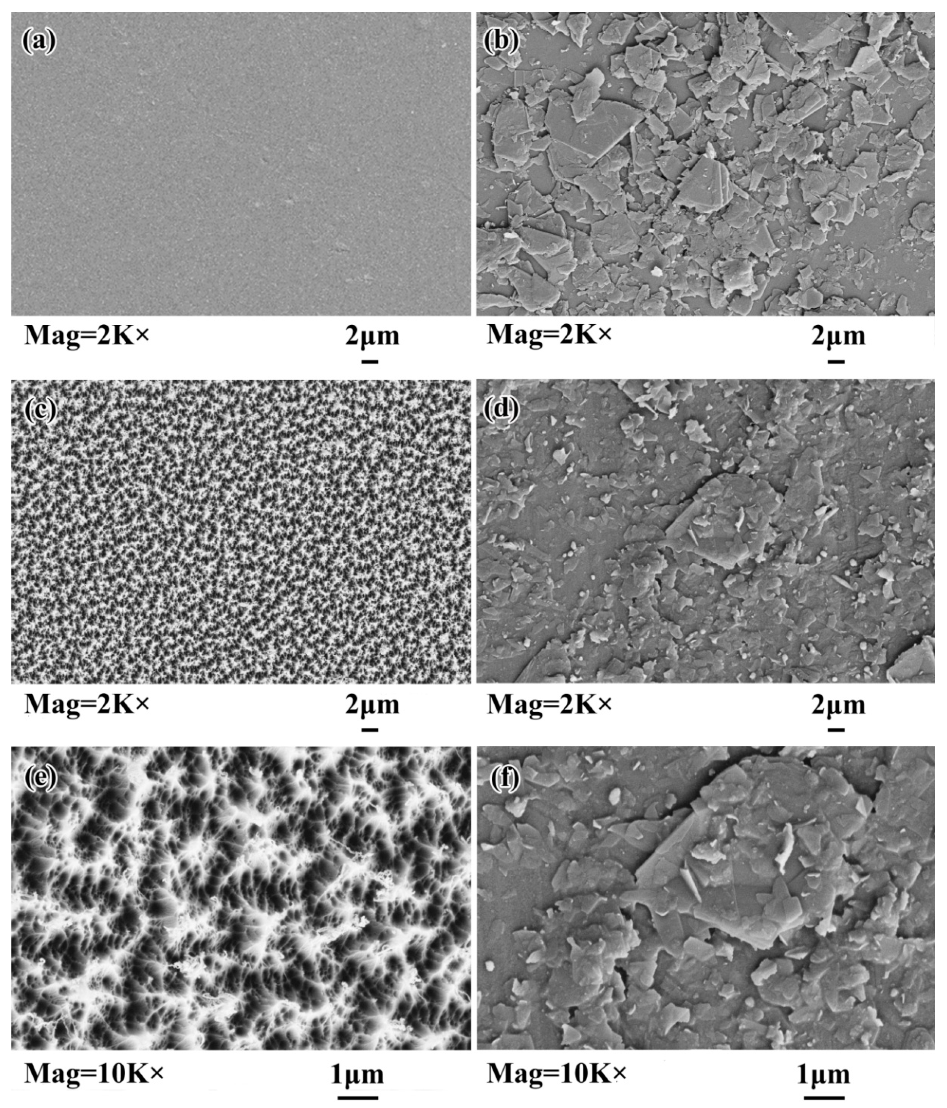 Coatings 10 00644 g010 Coatings 10 00644 g010