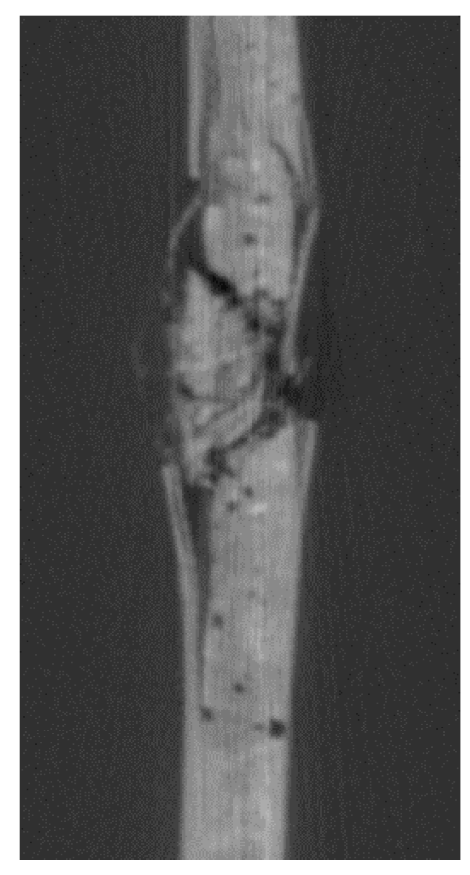 Coatings 10 00646 g011