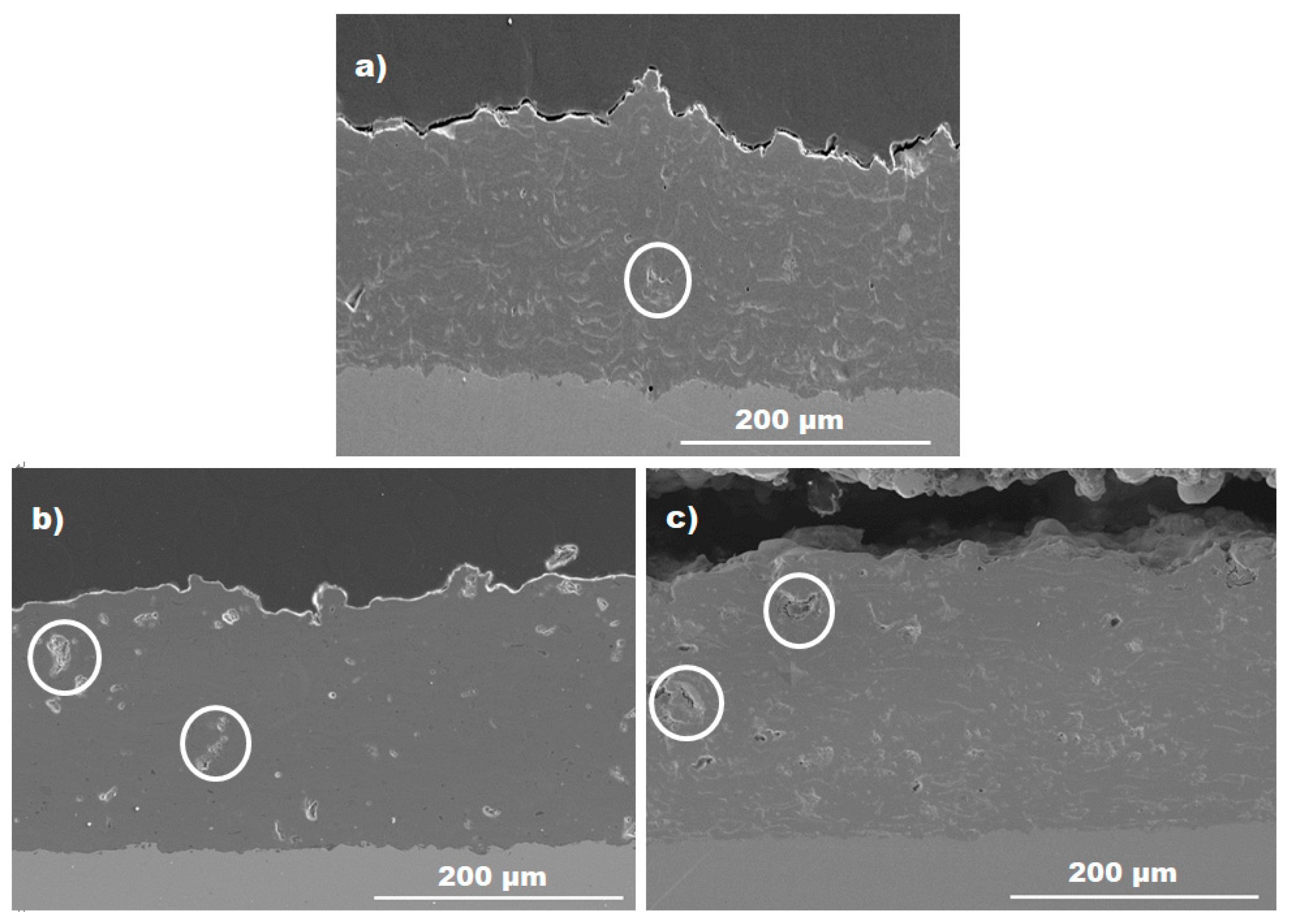 Coatings 10 00652 g001