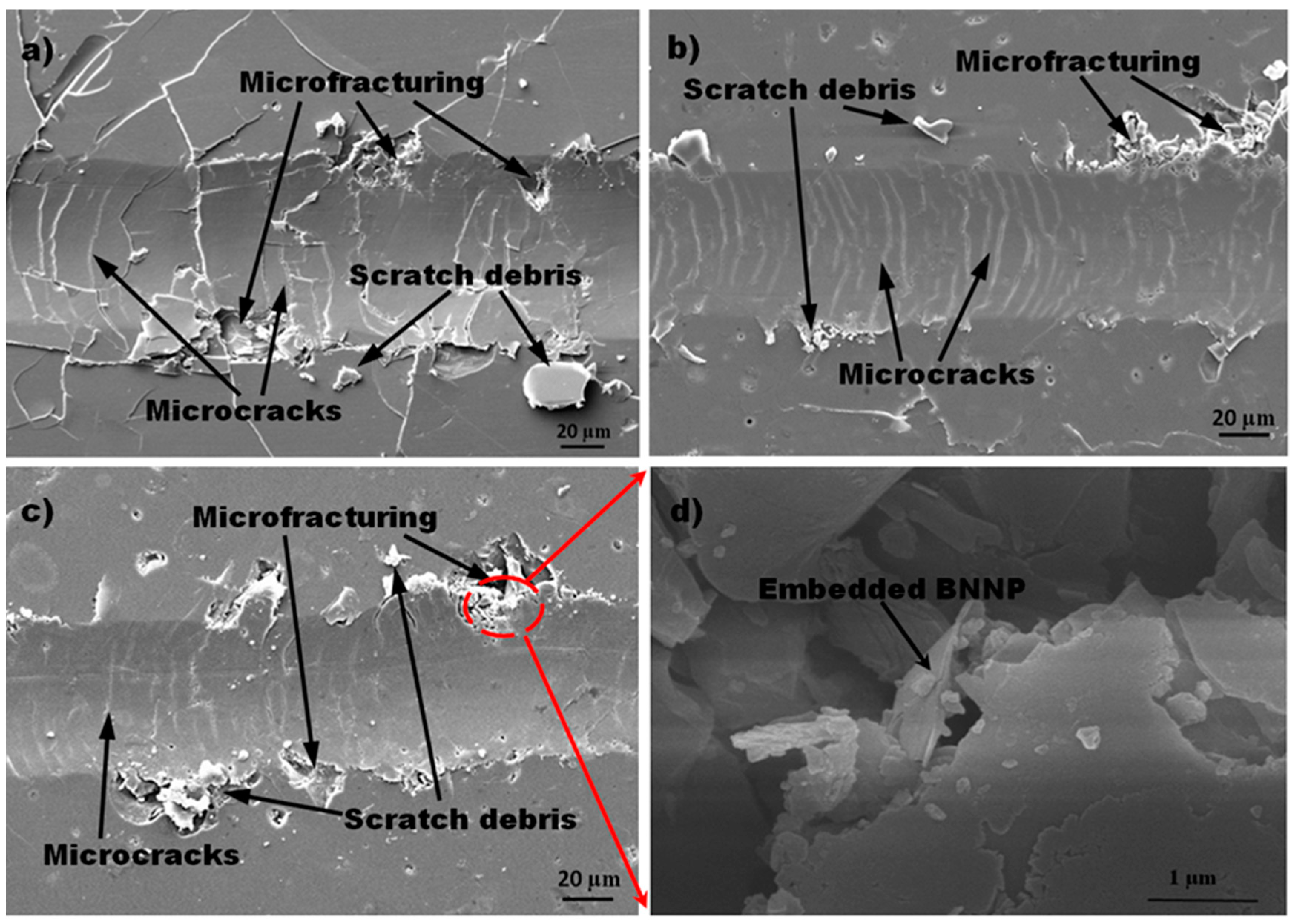 Coatings 10 00652 g007