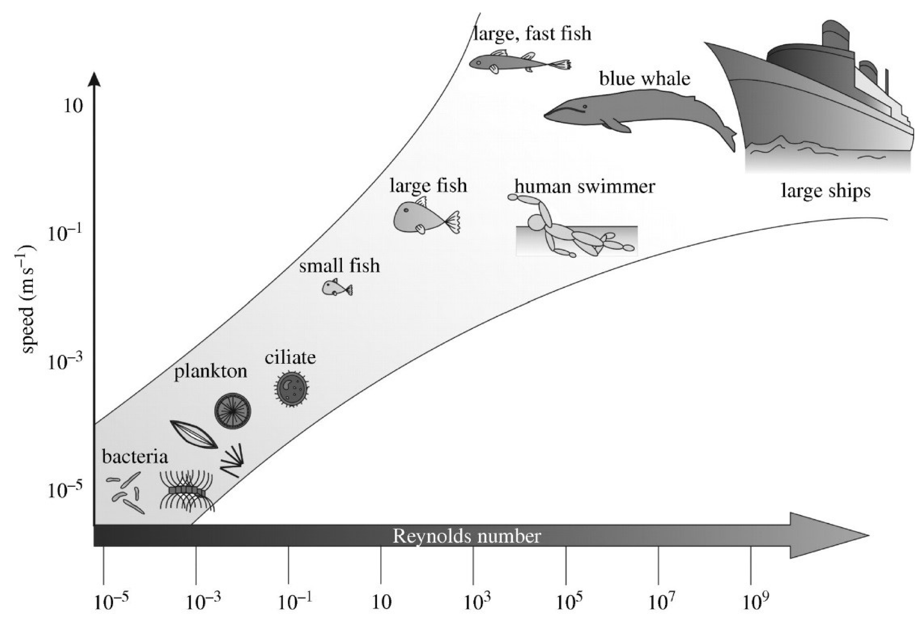 Coatings 10 00653 g001 Coatings 10 00653 g001