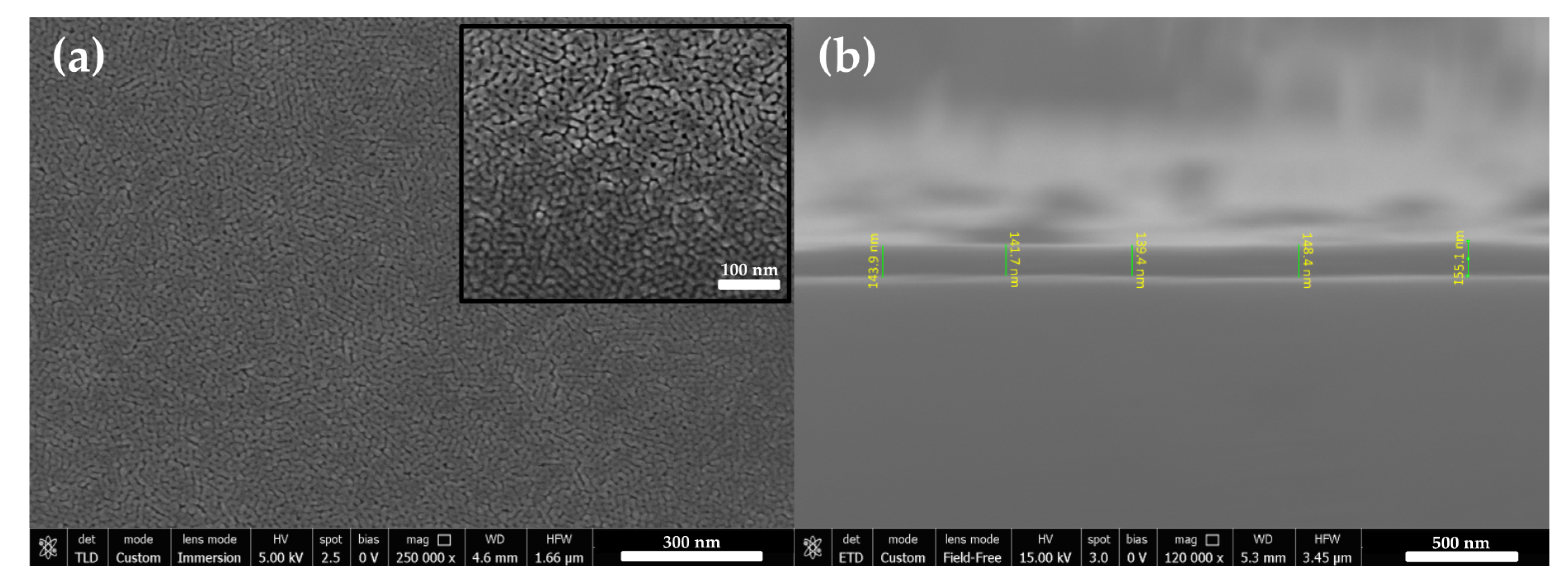 Coatings 10 00658 g003