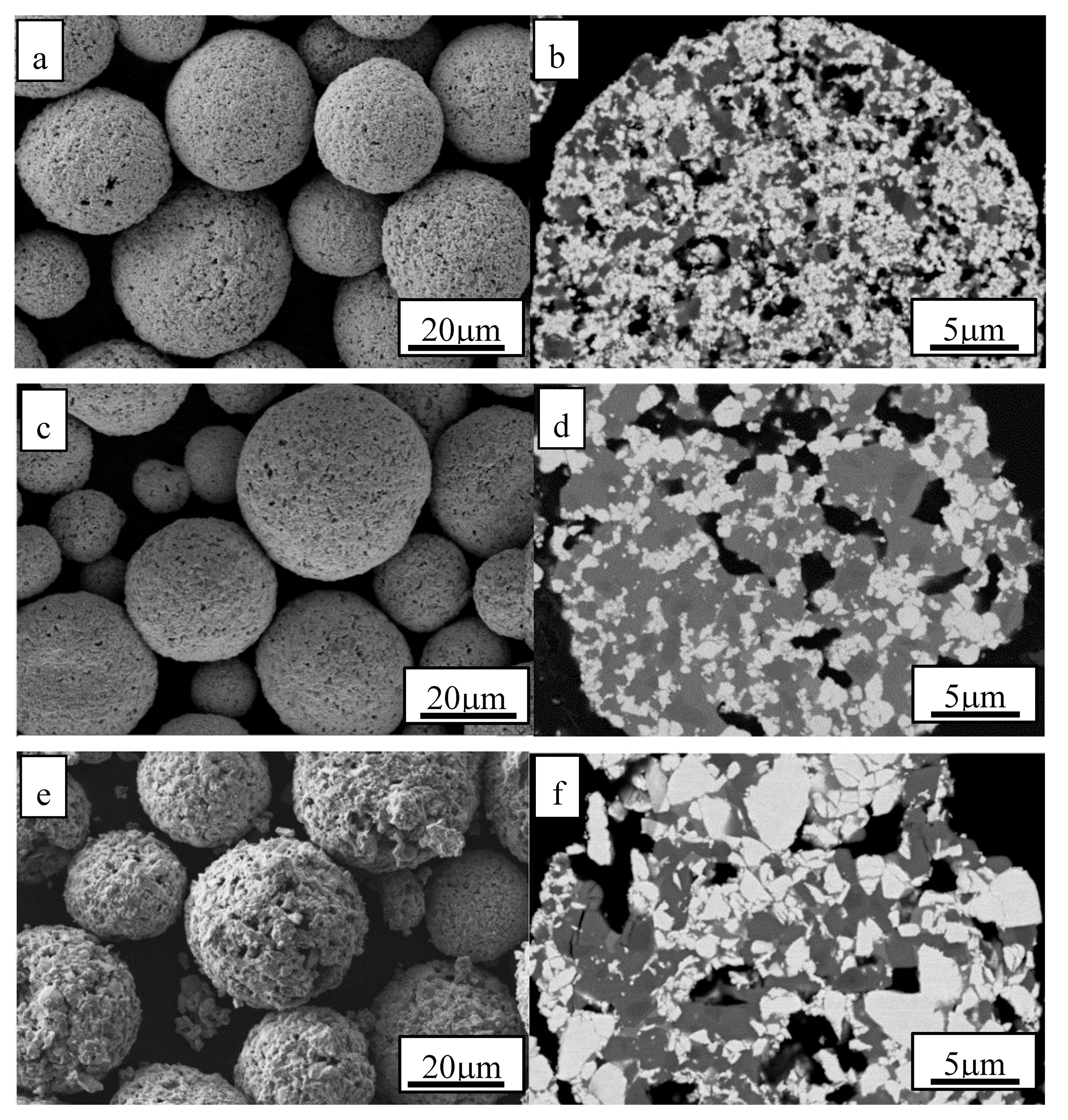 Coatings 10 00660 g001