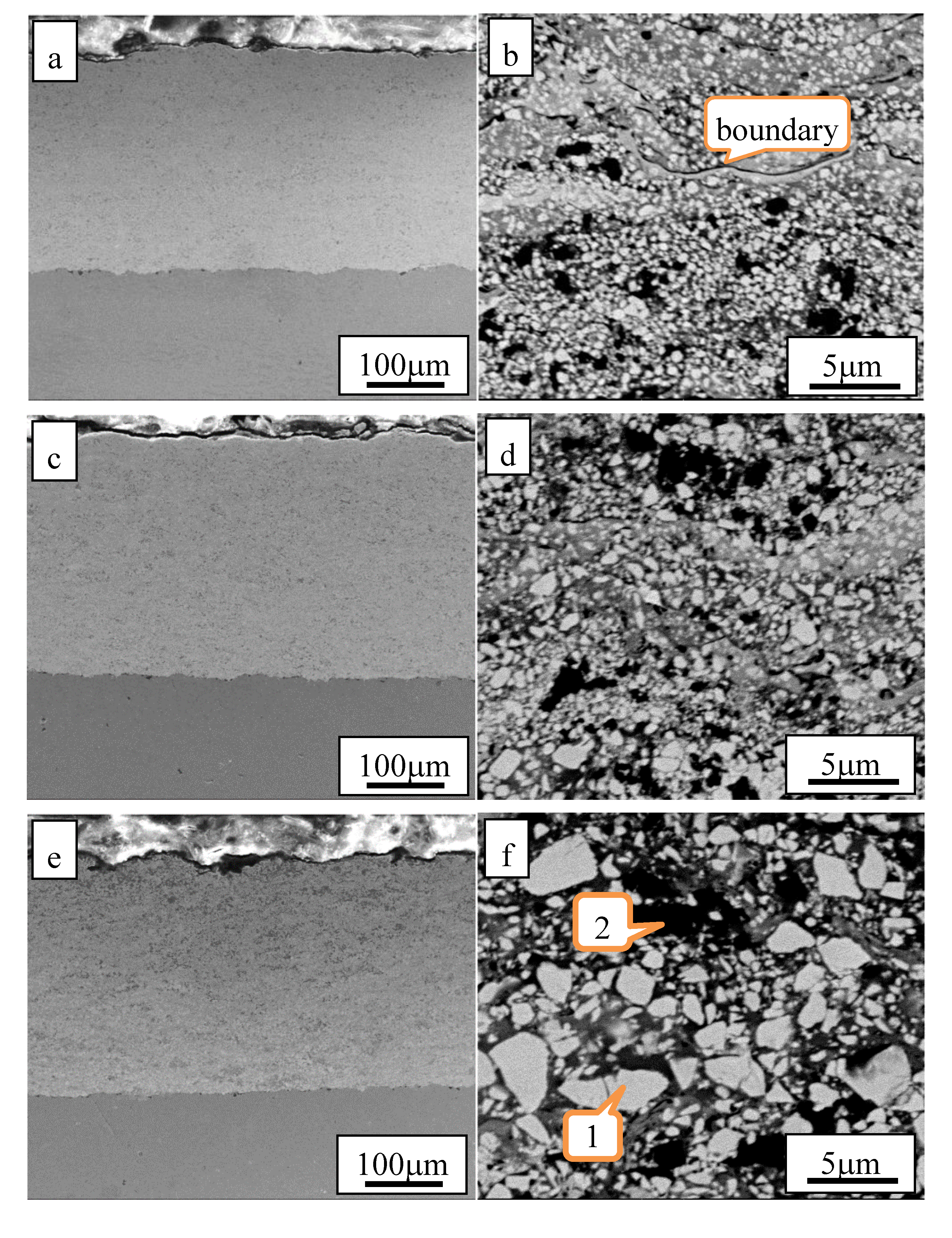 Coatings 10 00660 g006a