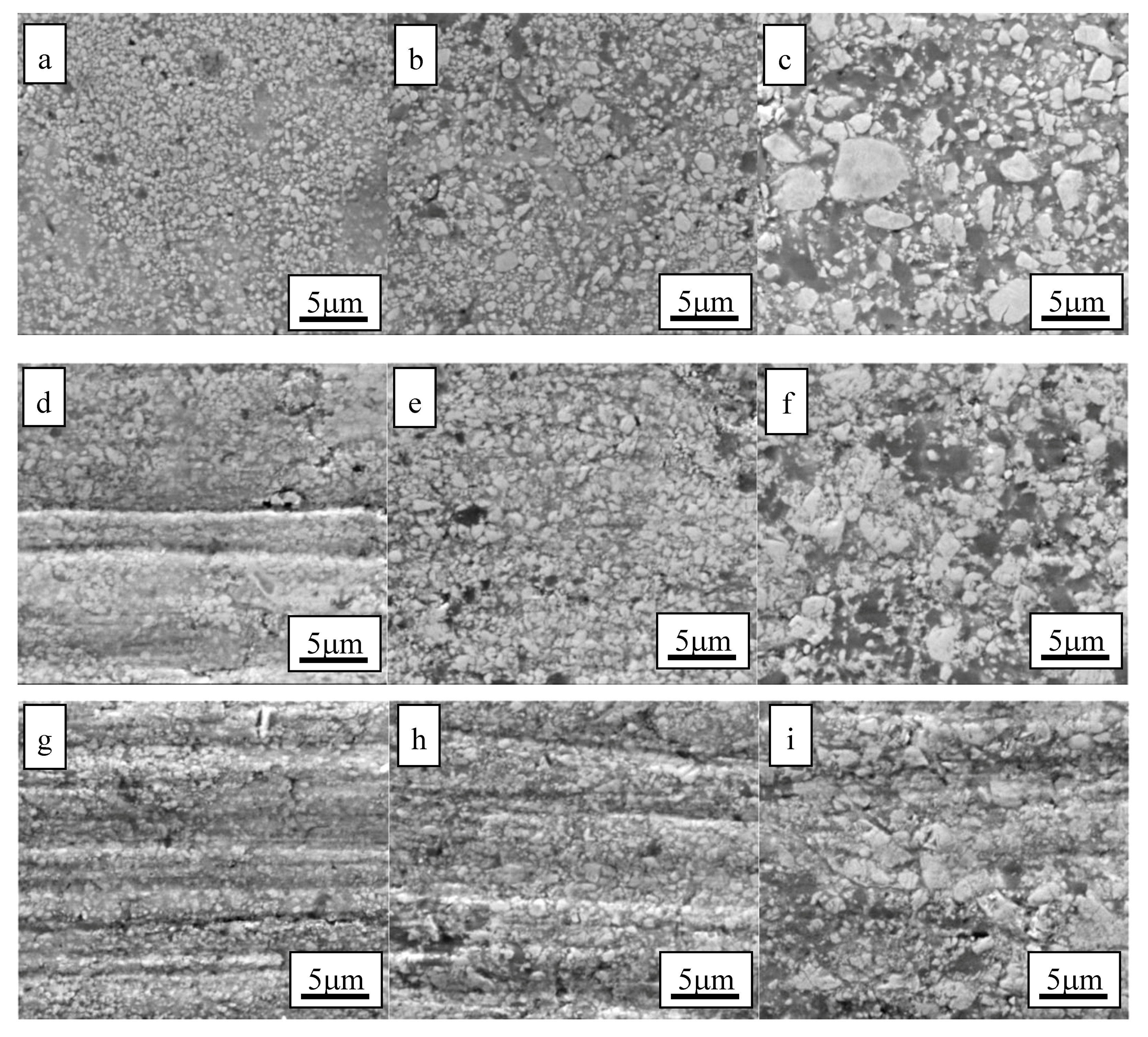 Coatings 10 00660 g008