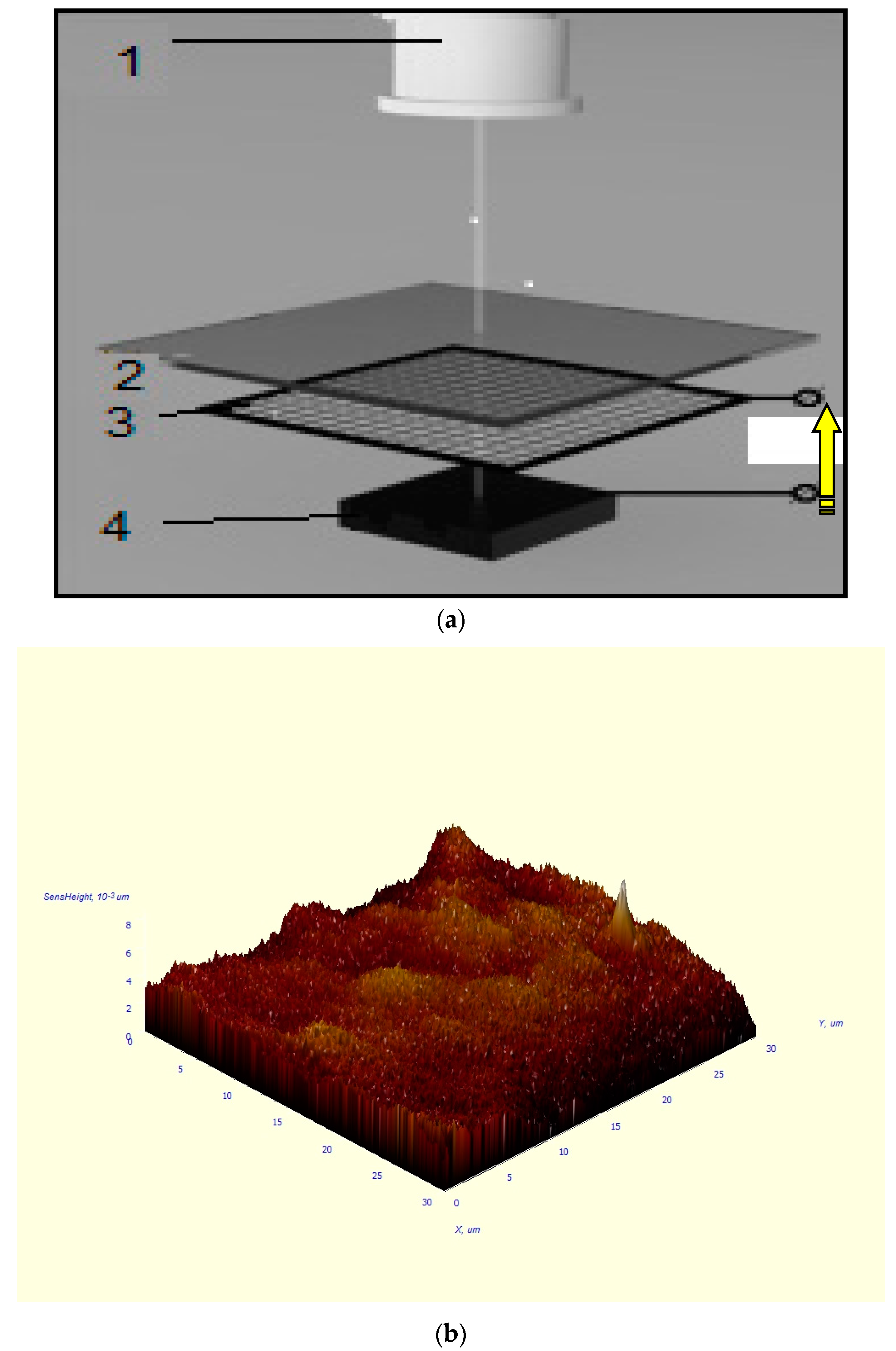 Coatings 10 00661 g003