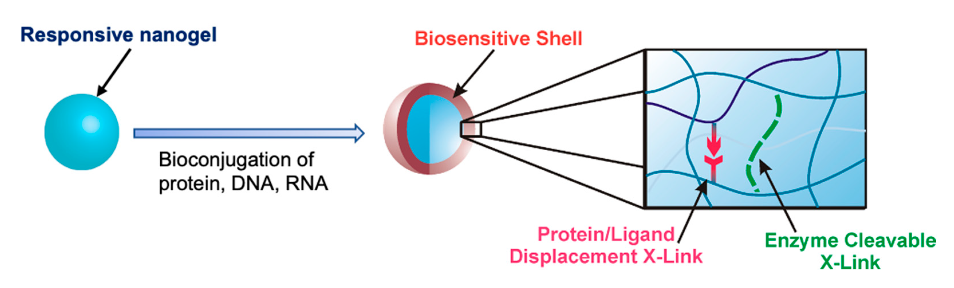 Coatings 10 00663 g008