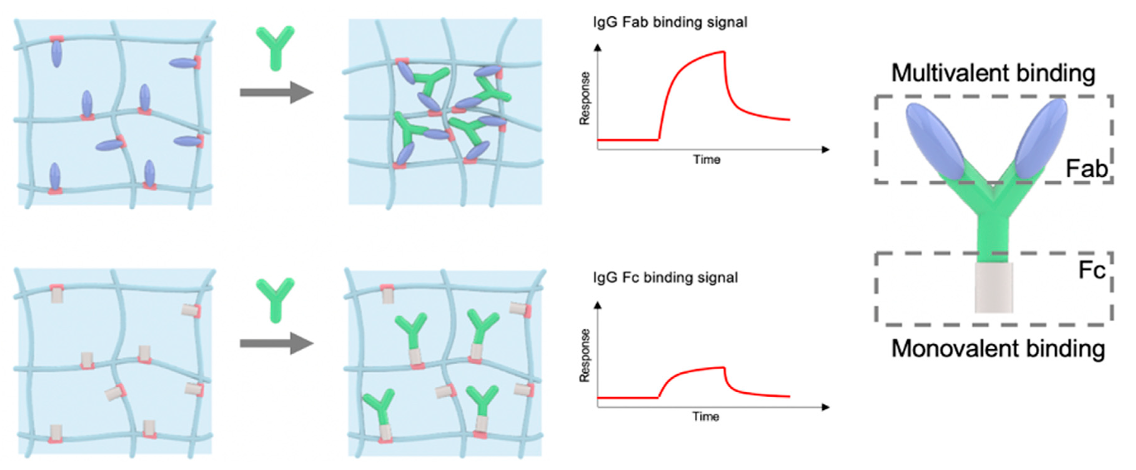 Coatings 10 00663 g013