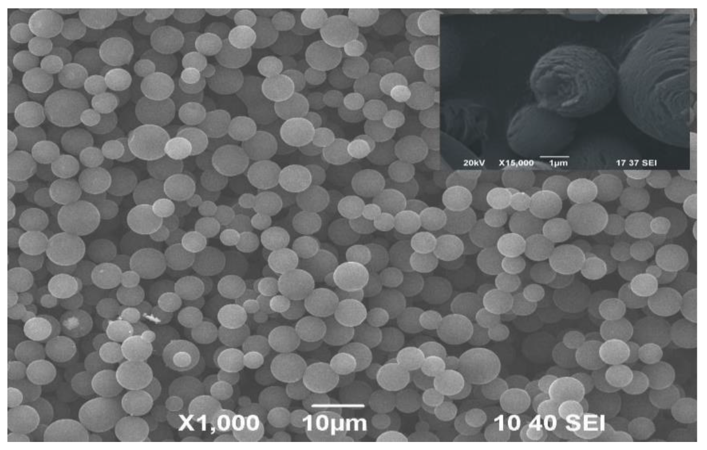 Coatings 10 00665 g001 Coatings 10 00665 g001