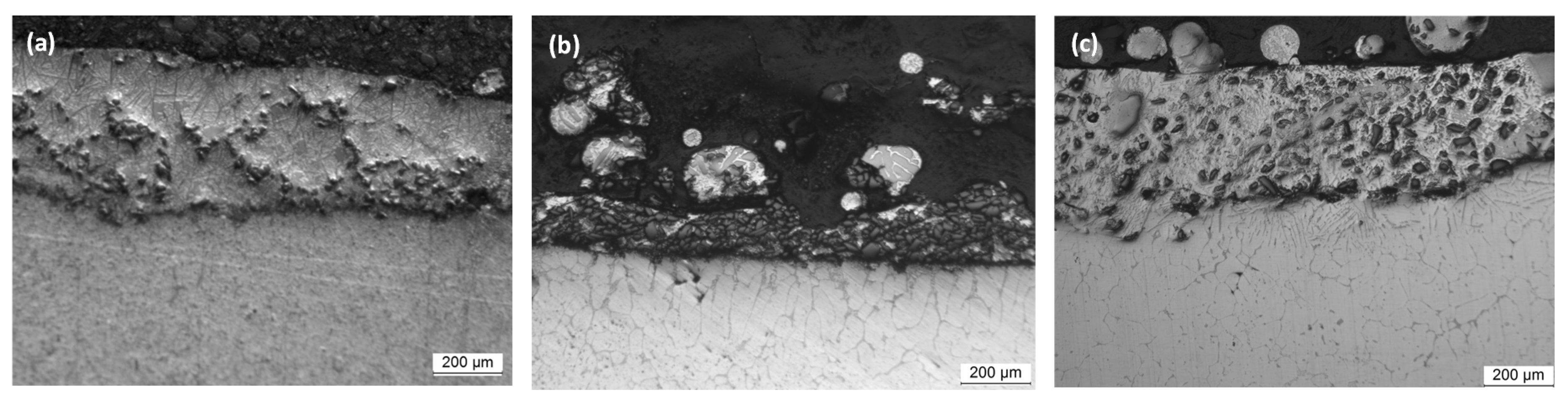 Coatings 10 00673 g001 Coatings 10 00673 g001