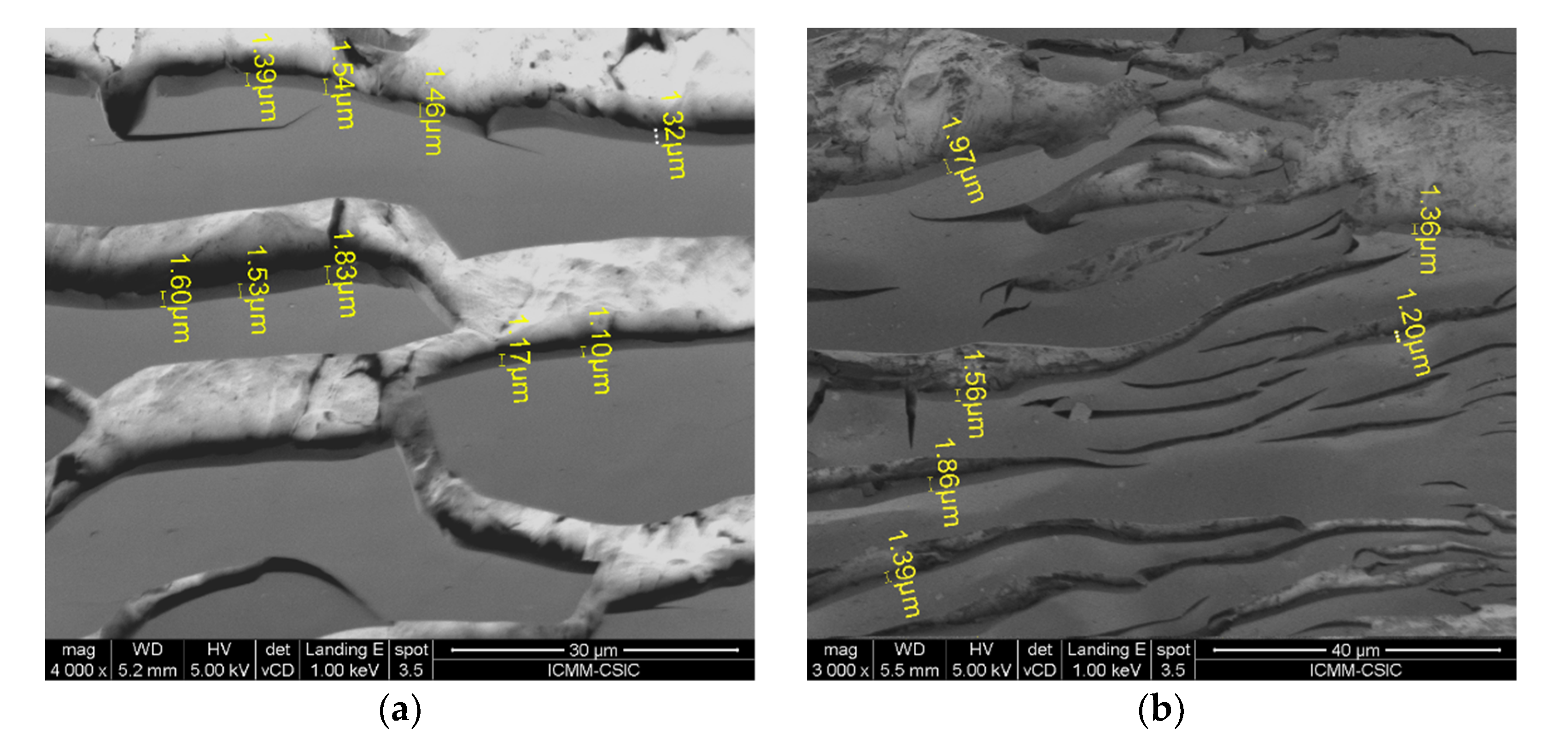 Coatings 10 00677 g008 Coatings 10 00677 g008