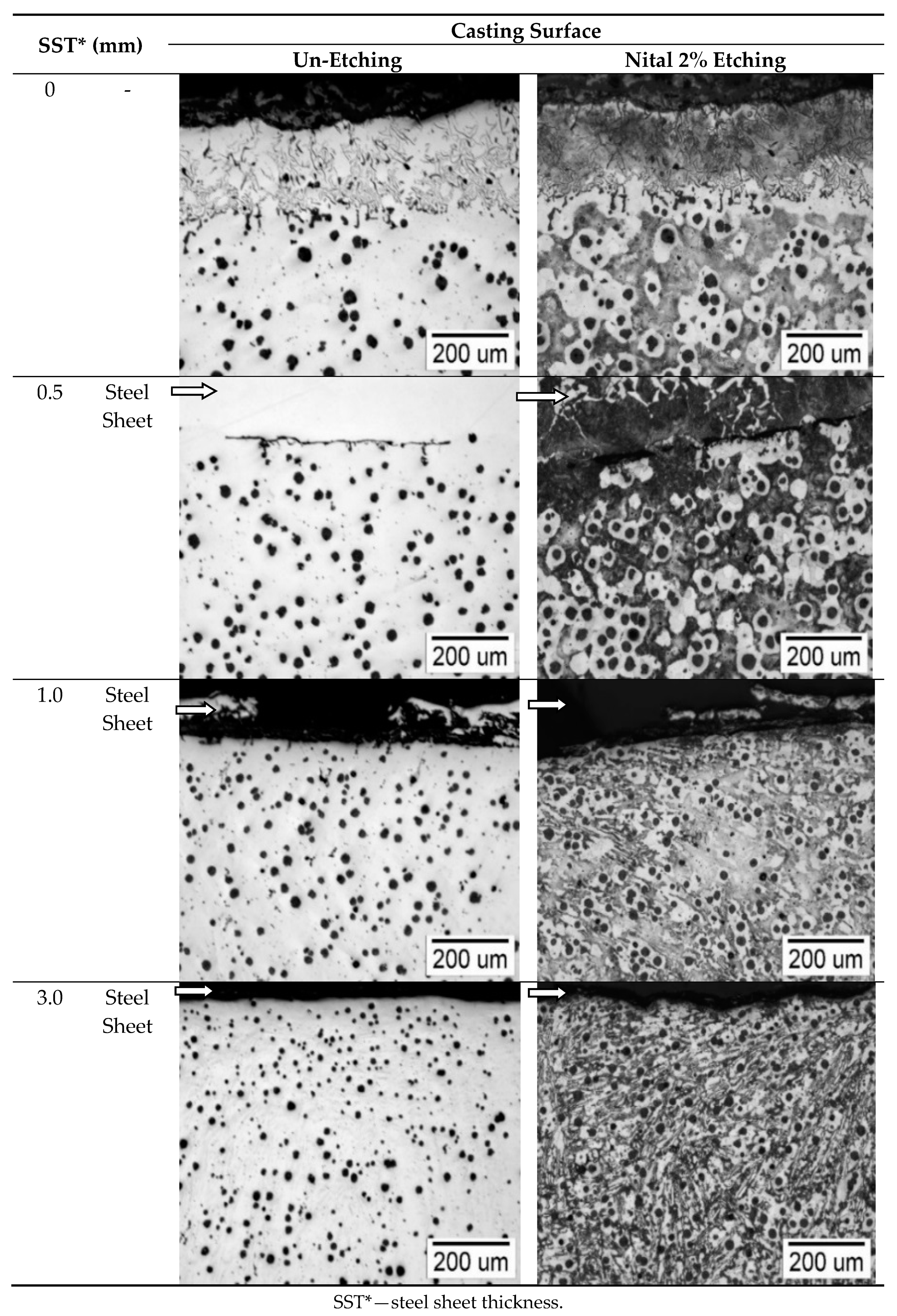 Coatings 10 00680 g008