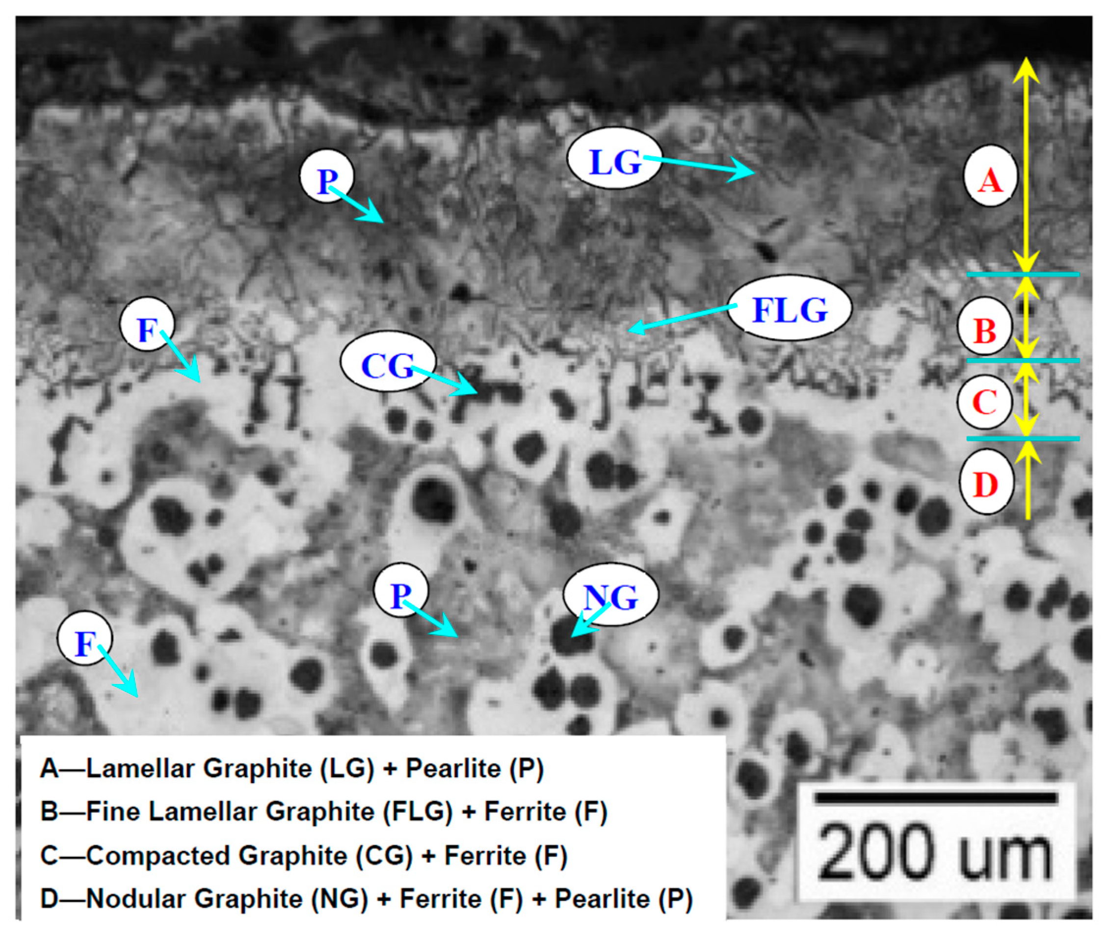 Coatings 10 00680 g009