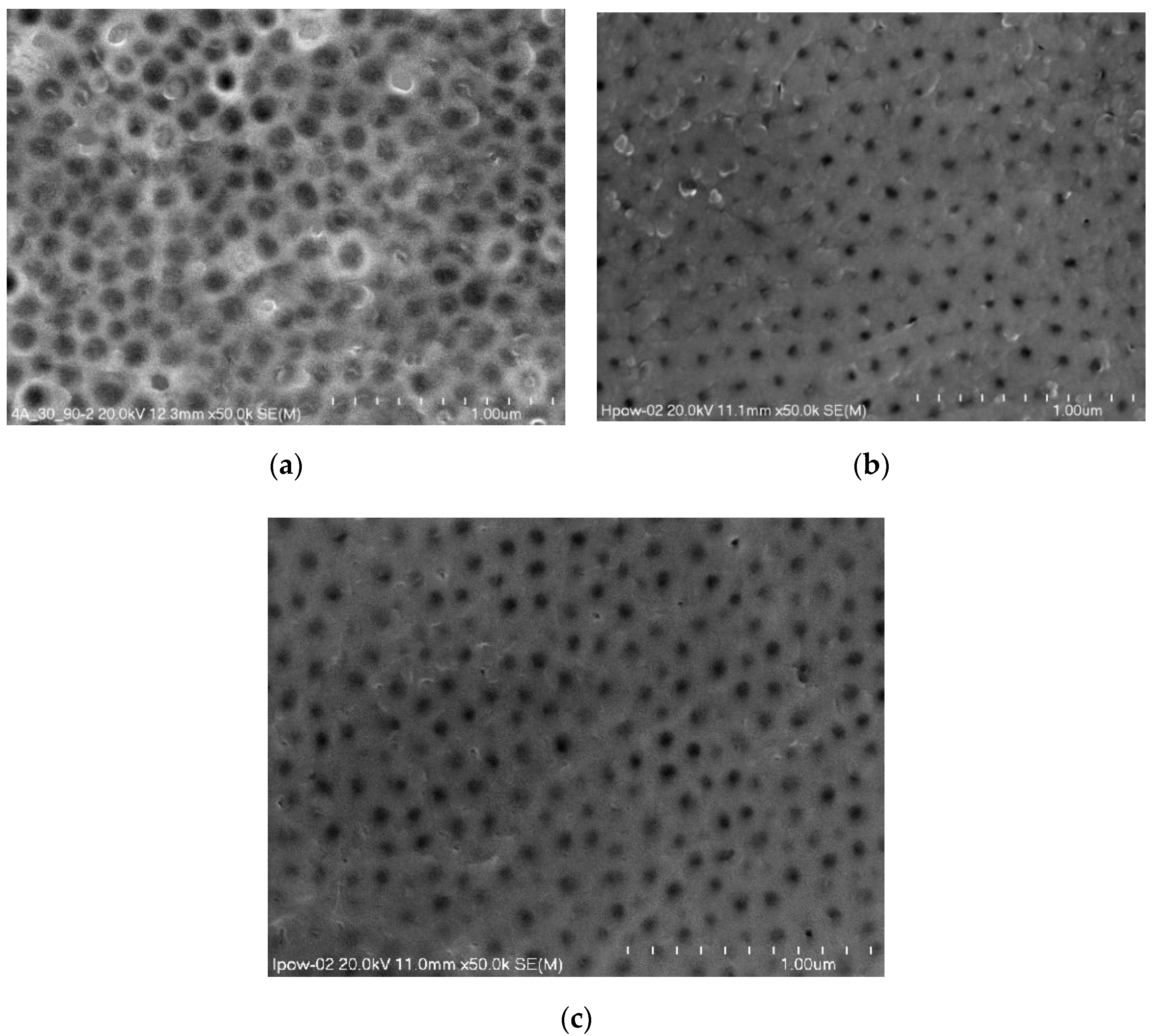 Coatings 10 00681 g003