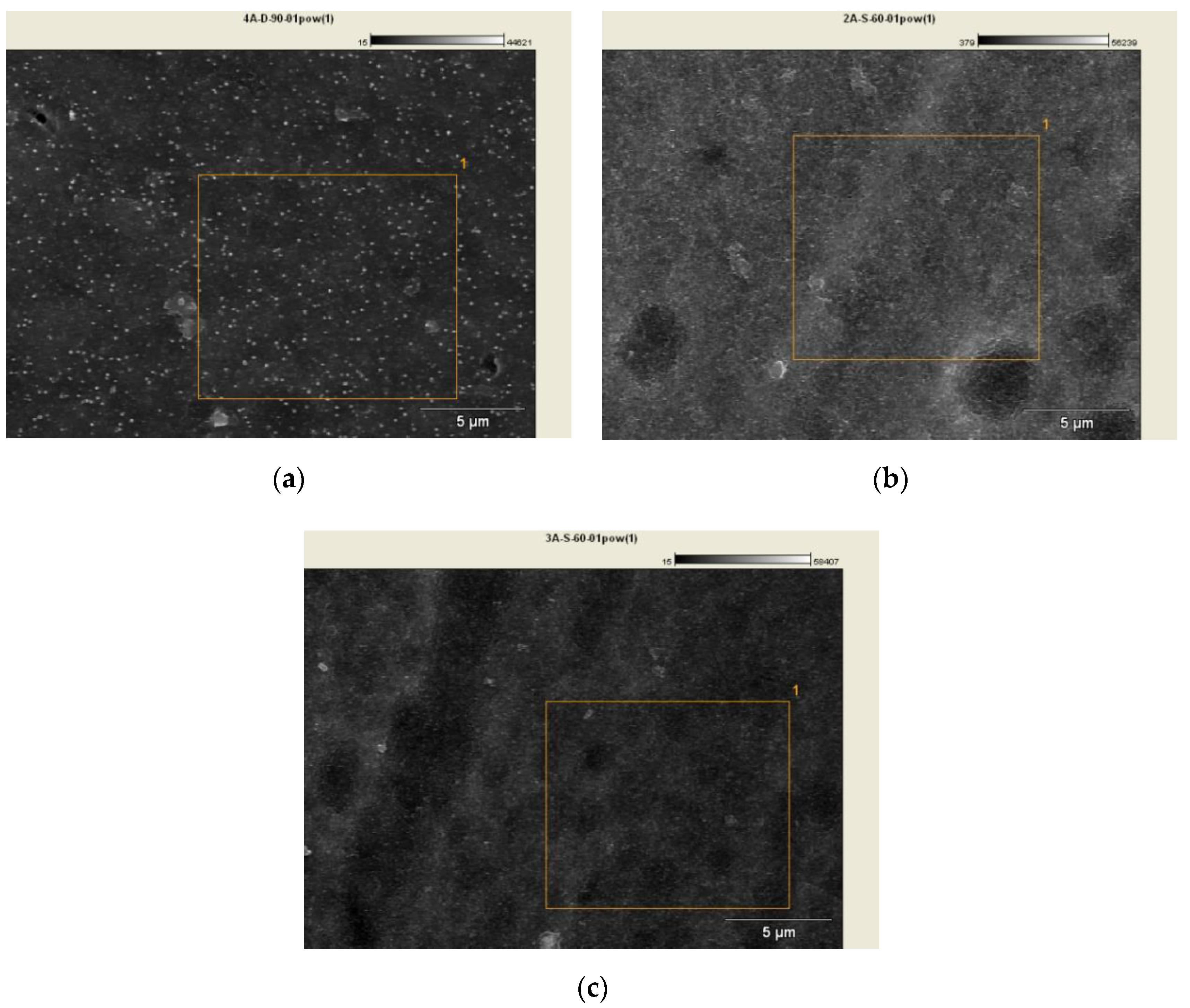 Coatings 10 00681 g005